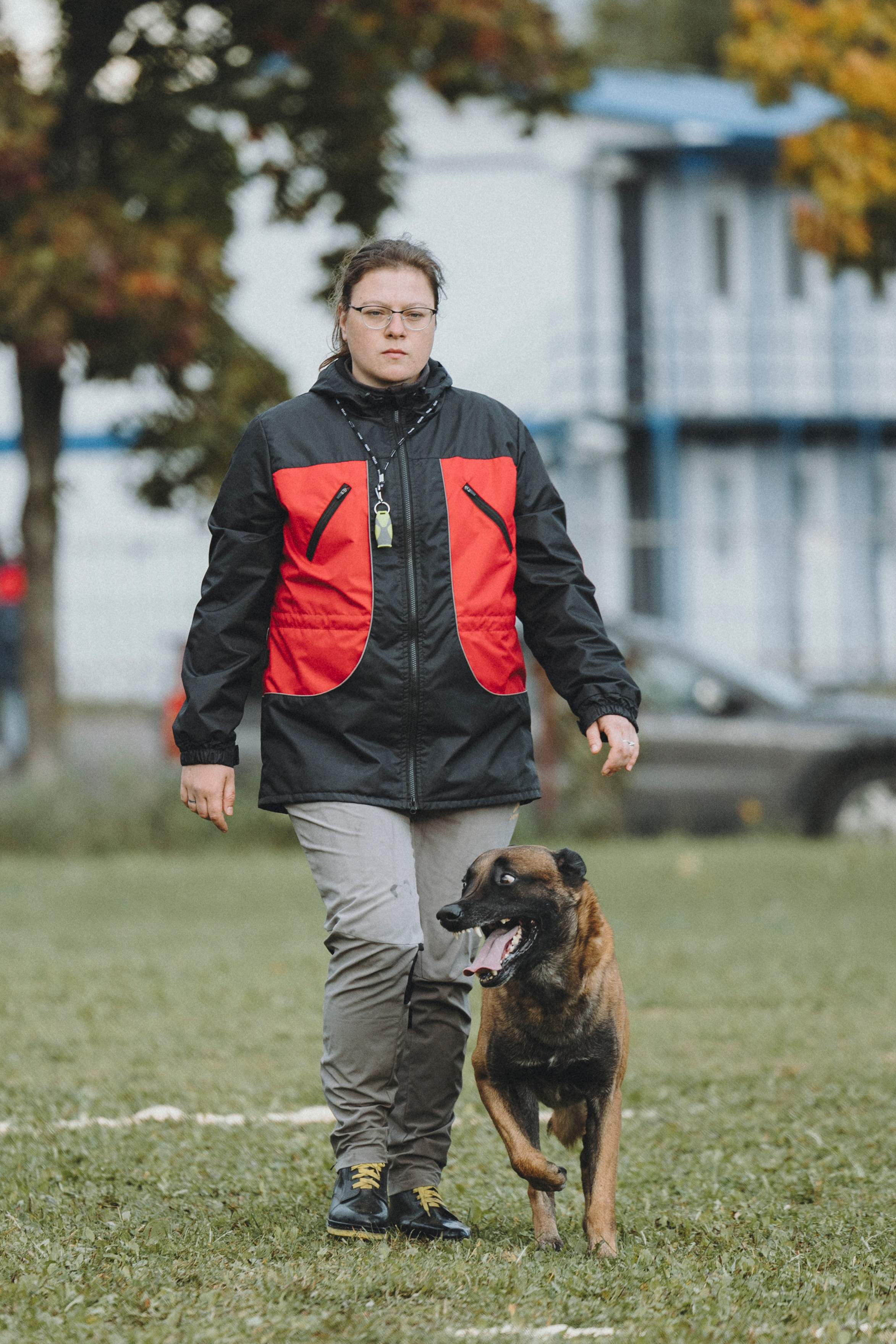 Испытания по мондьорингу г. Пушкин 29.09.2024. Фотограф-анималист Анна Маринич