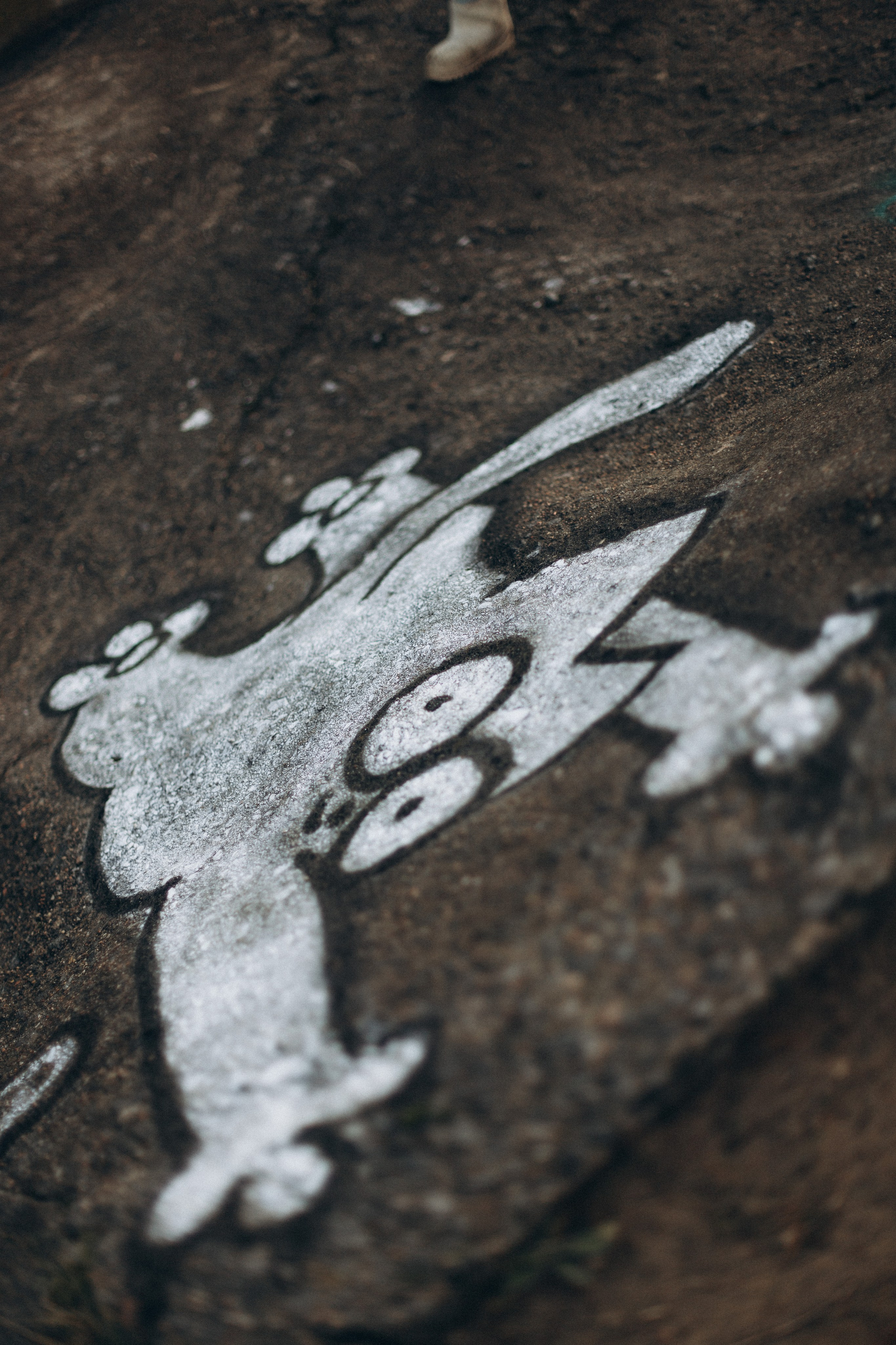 Весна. Репортажный и детский фотограф в Минске