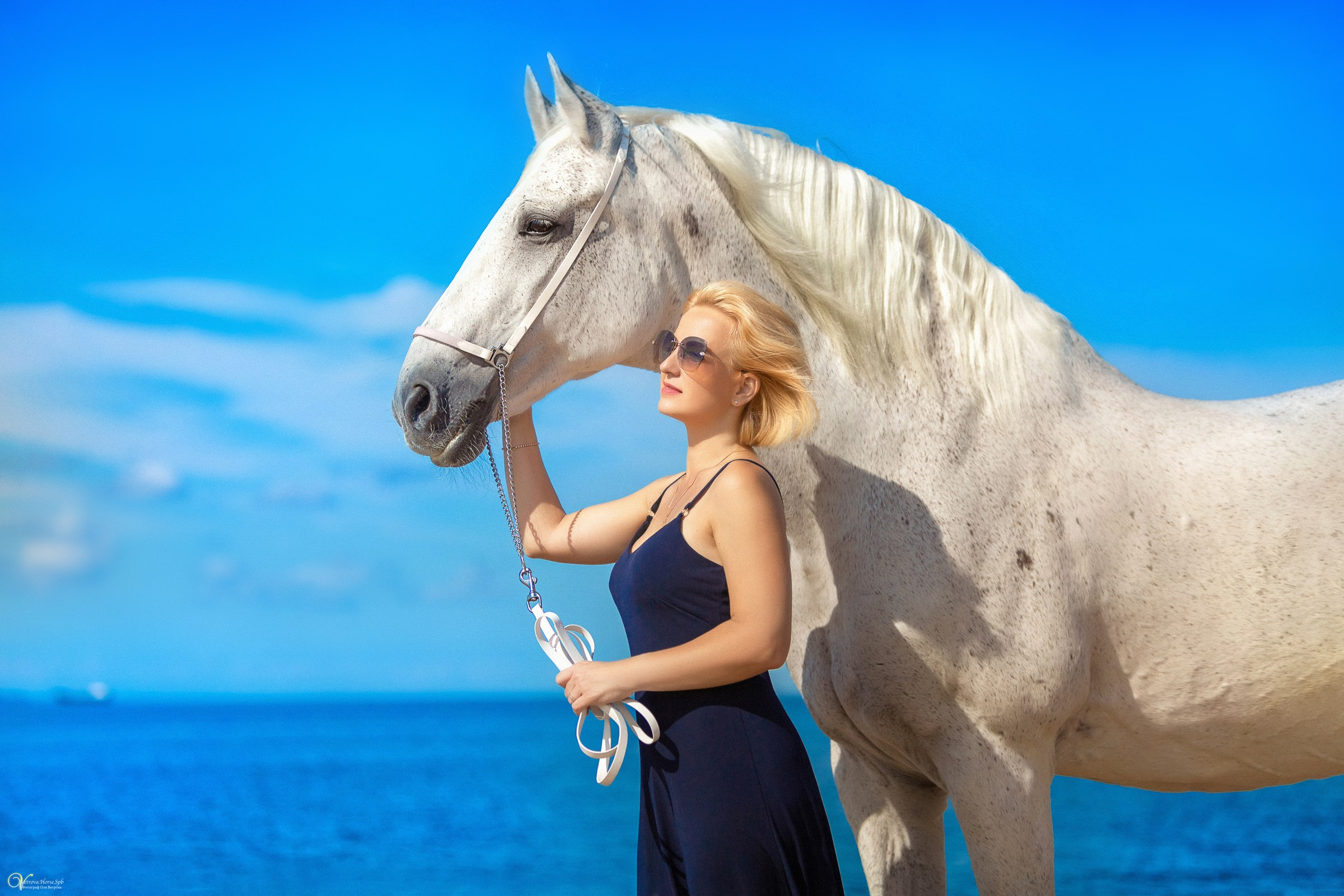 Фотосессия на заливе с белой лошадью СПБ, голубое небо, голубое море
