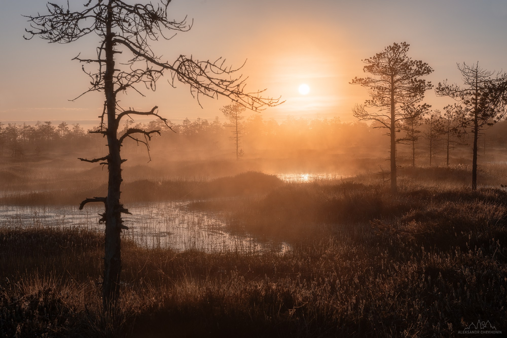 Пейзаж. Пейзажный фотограф Александр Чехонин