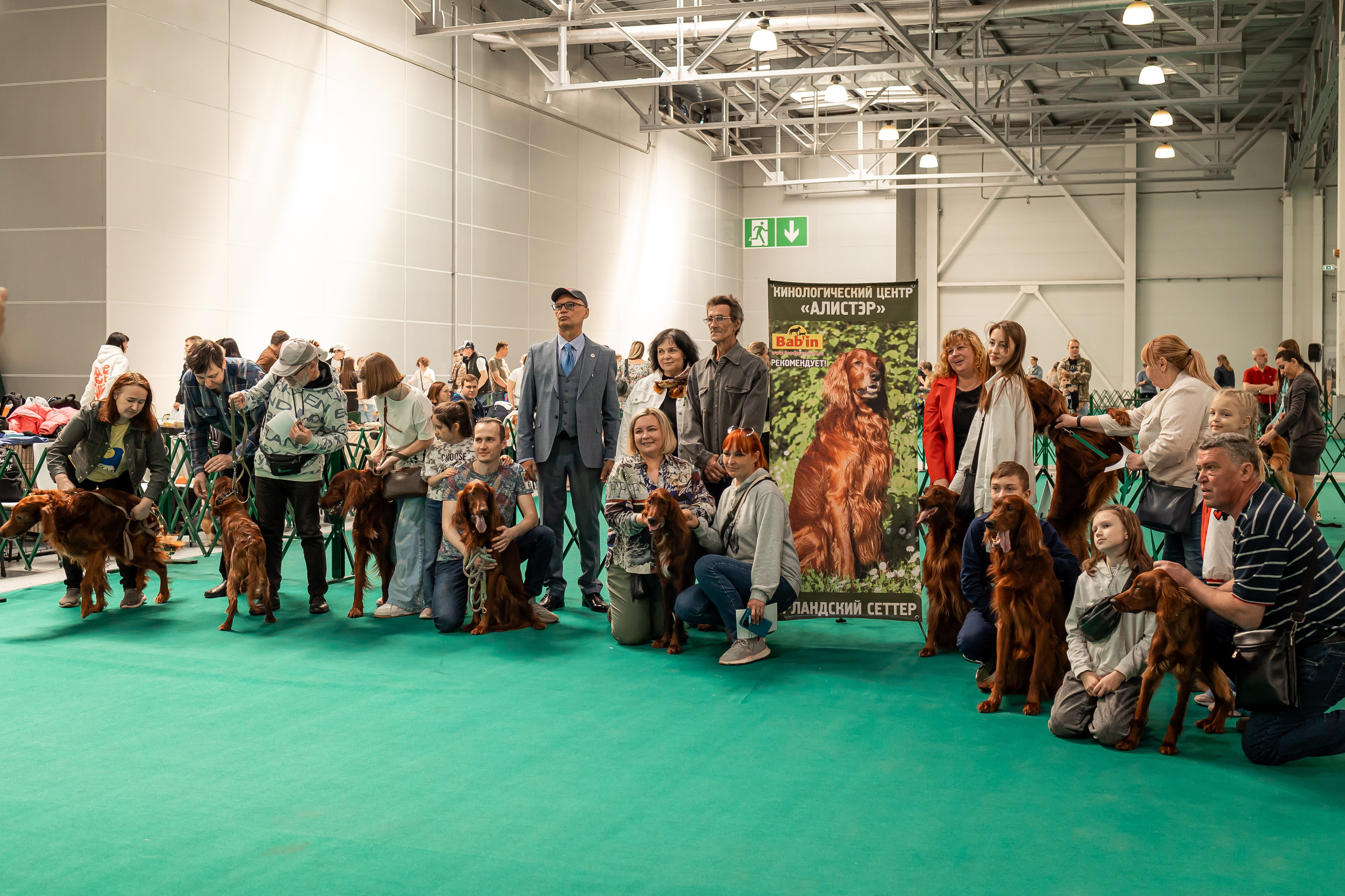 Выставка сеттеров 19.05.24