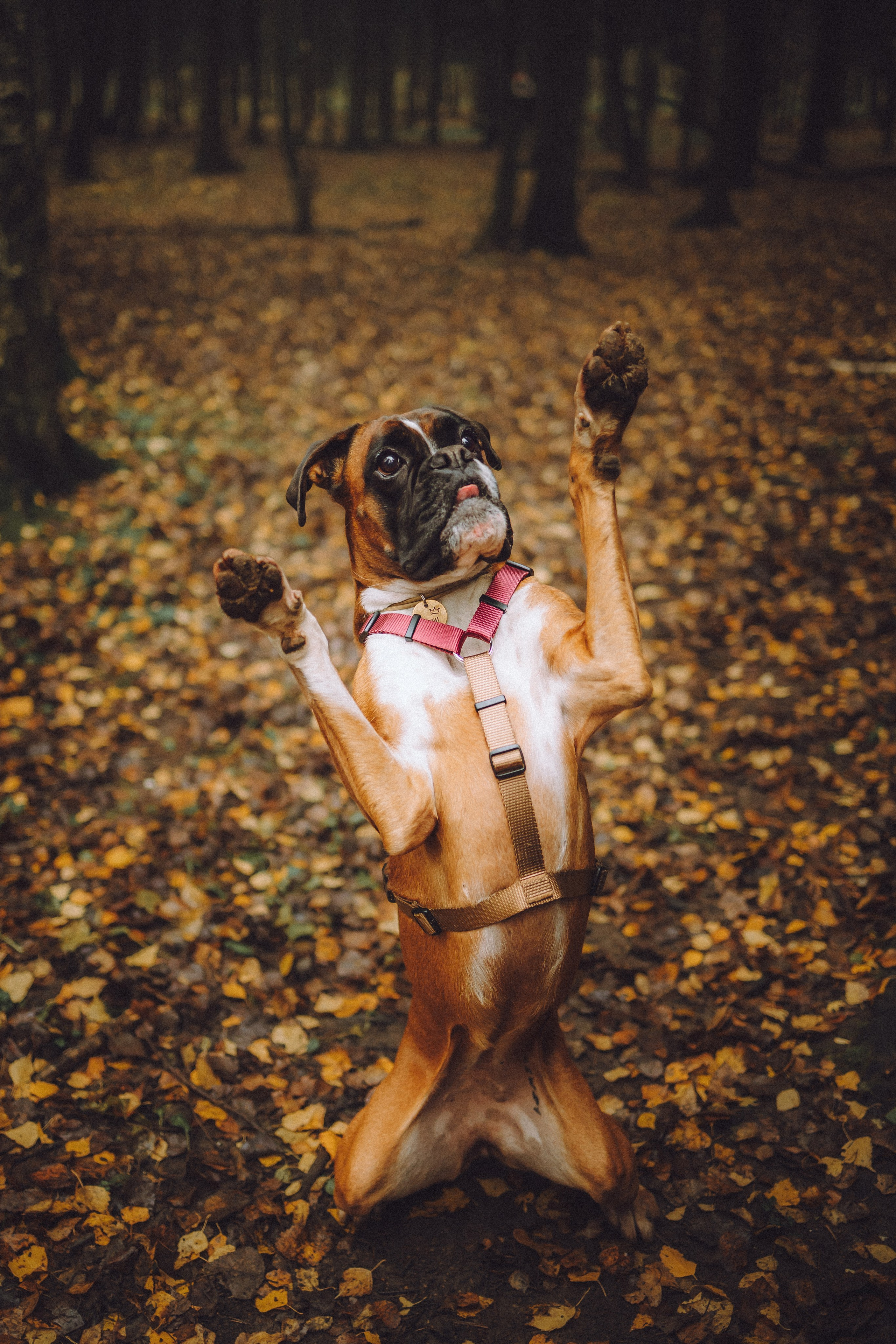 Элли и ее семья