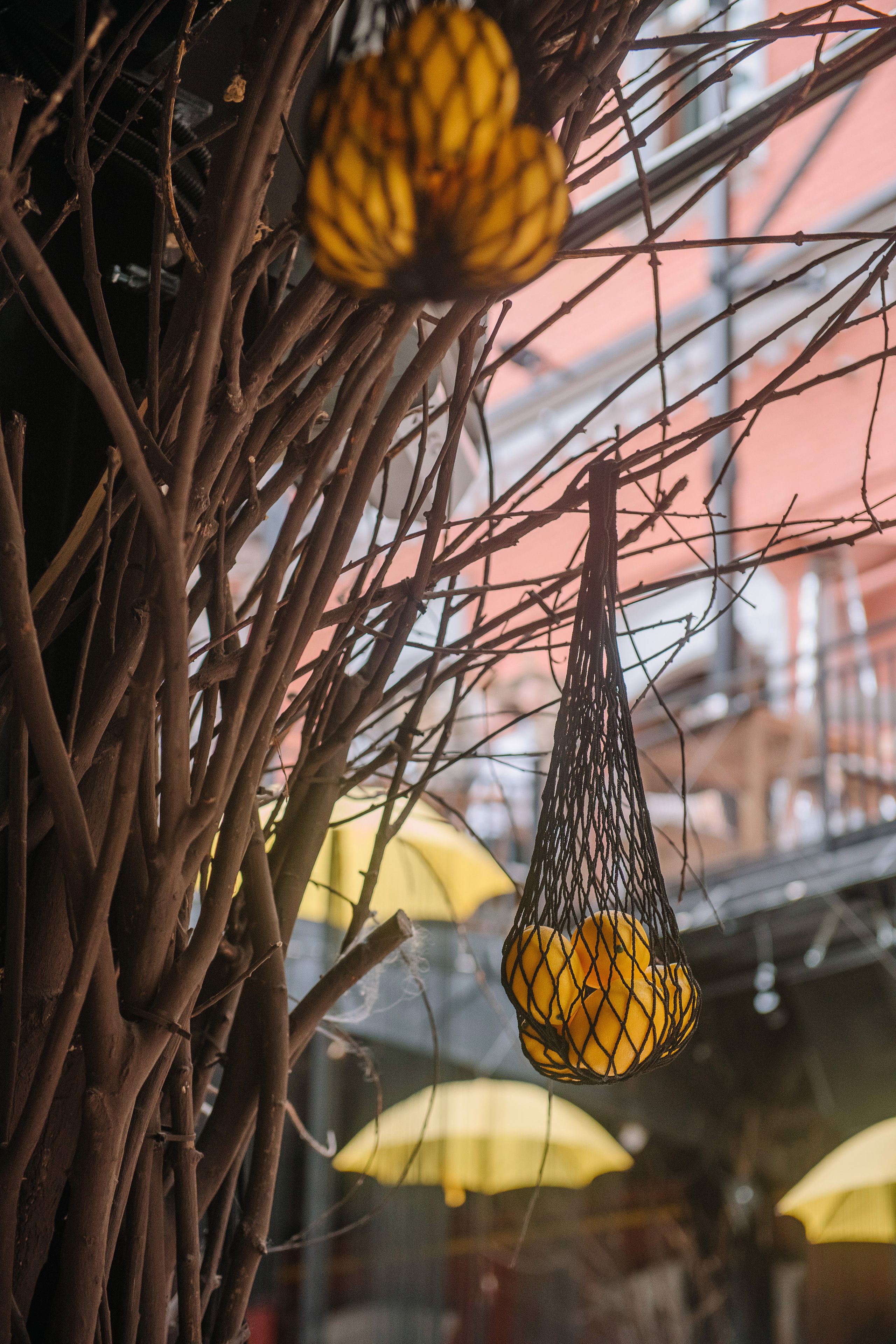 Гастродвор. Бранч. Фотограф Валерия Голубева (Миронова)