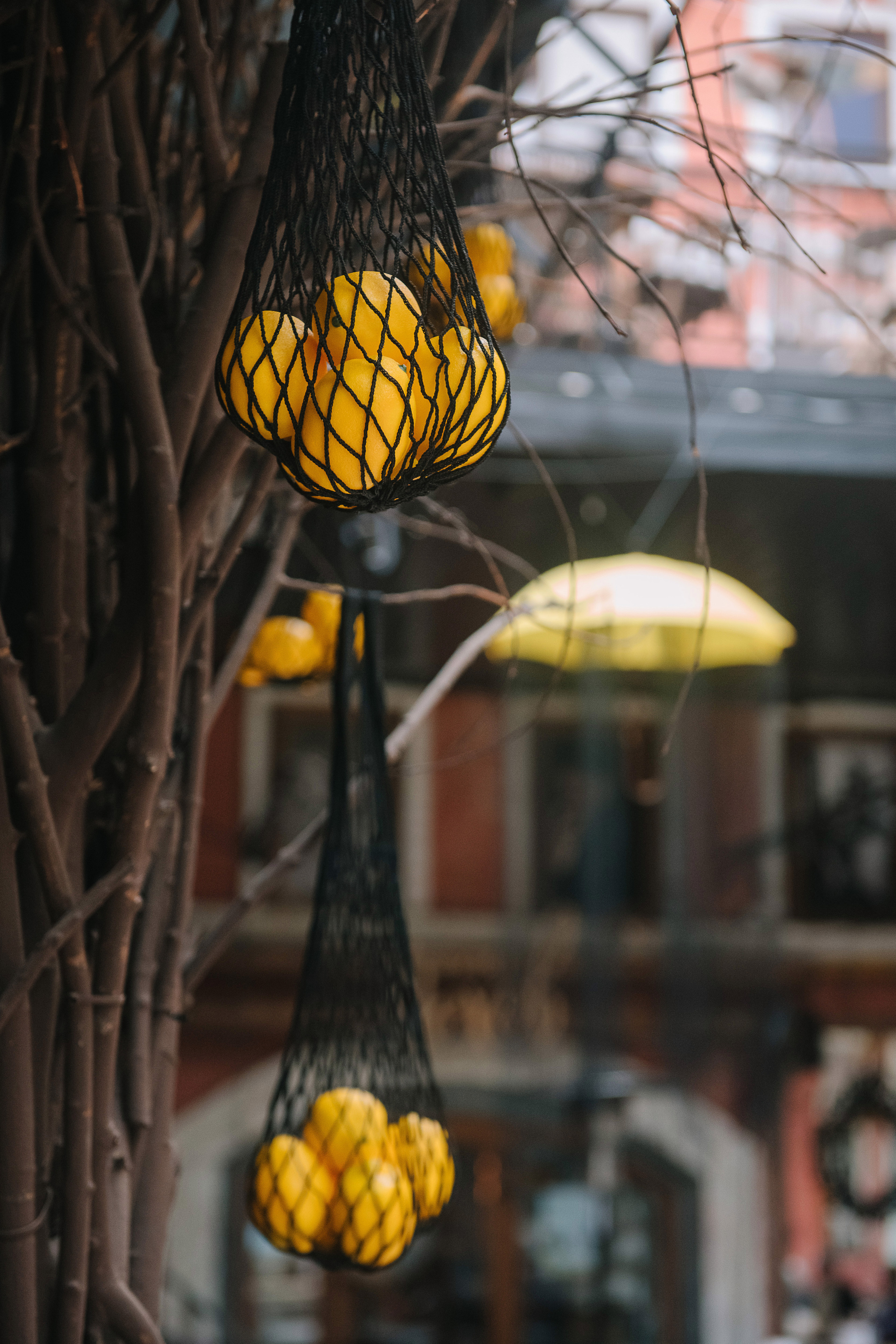 Гастродвор. Бранч. Фотограф Валерия Голубева (Миронова)