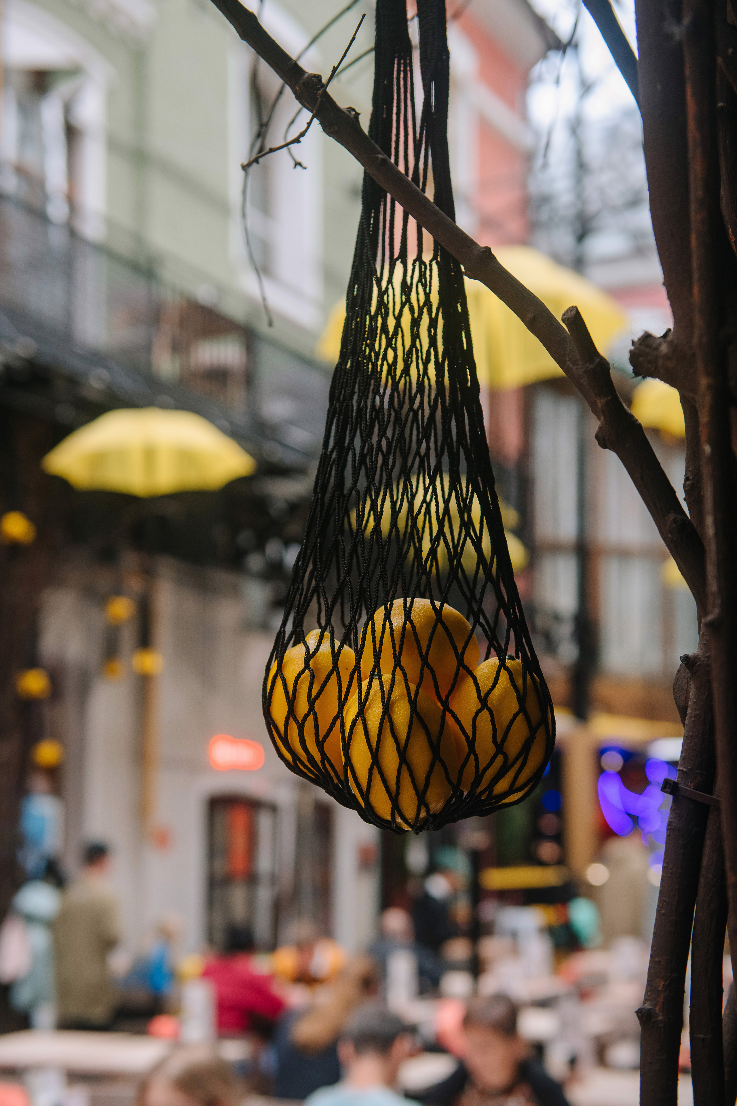 Гастродвор. Бранч. Фотограф Валерия Голубева (Миронова)