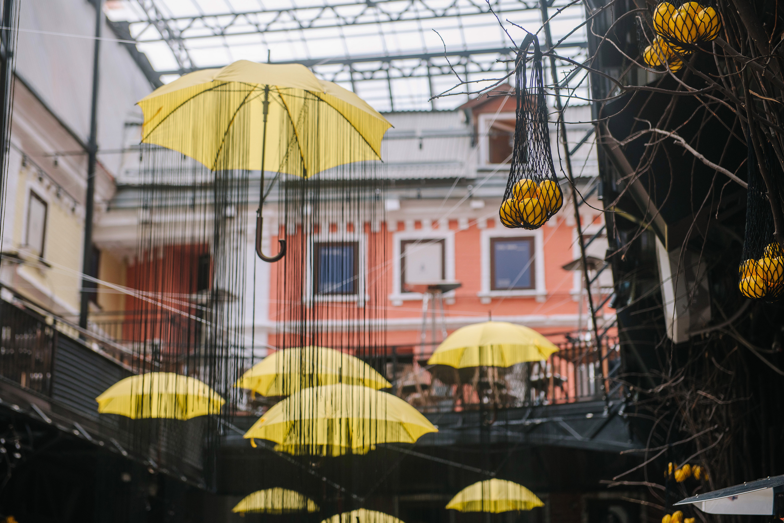 Гастродвор. Бранч. Фотограф Валерия Голубева (Миронова)