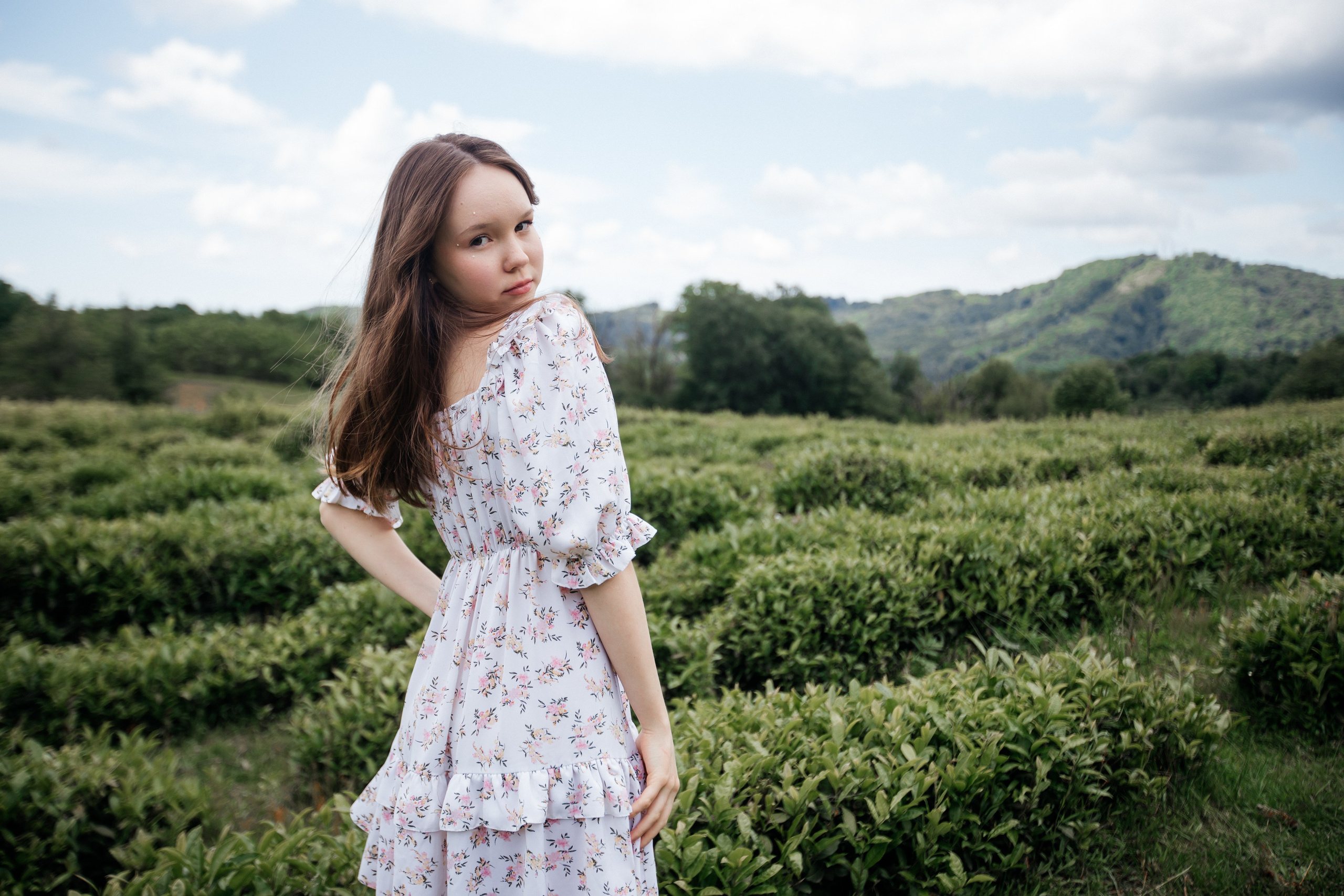 Tea plantation. Efimova Model Agency