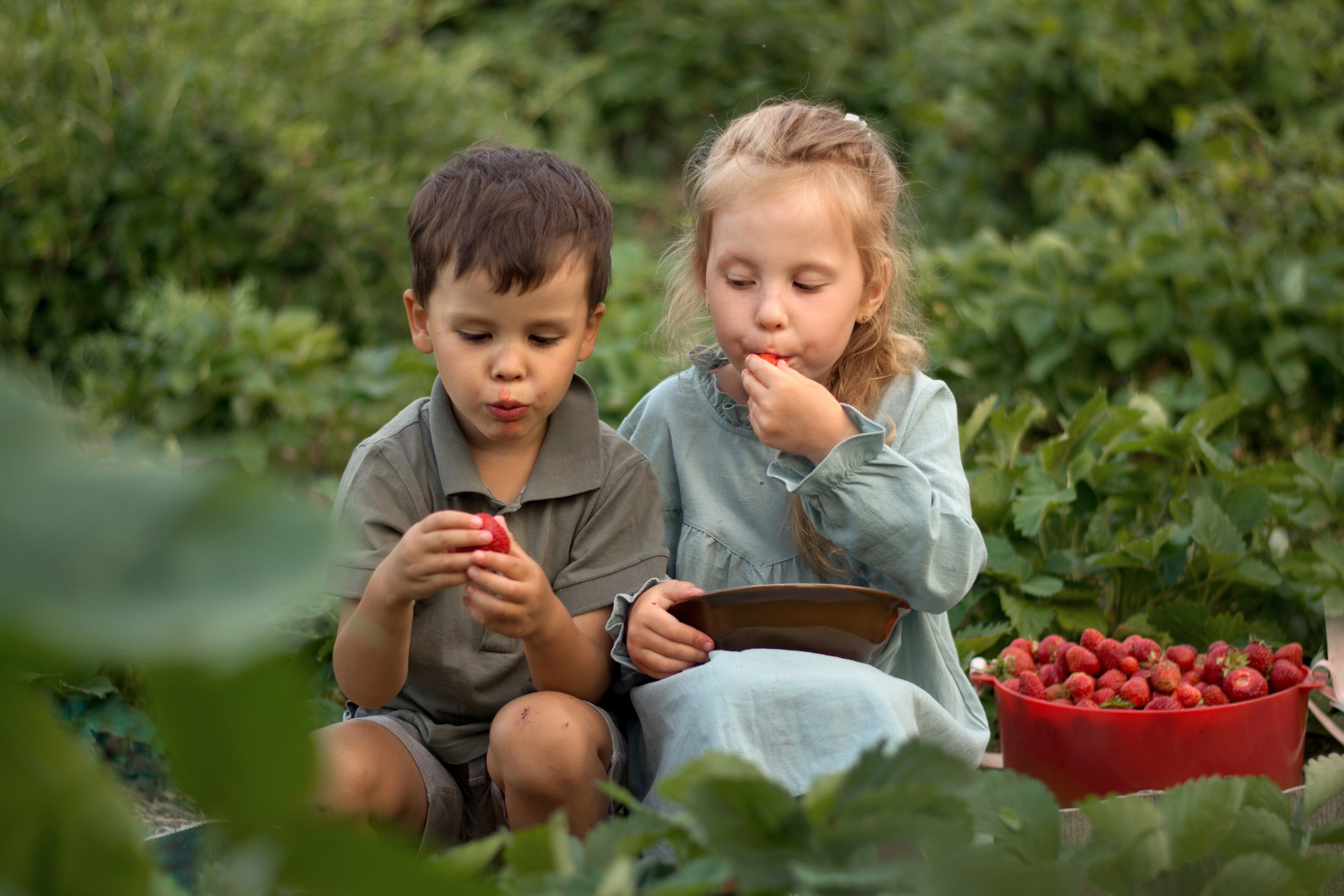 Детская летняя фотосессия в Сыктывкаре детский фотограф лето Сыктывкар. Фотограф новорождённых детский фотограф Сыктывкар Наталья Линдт