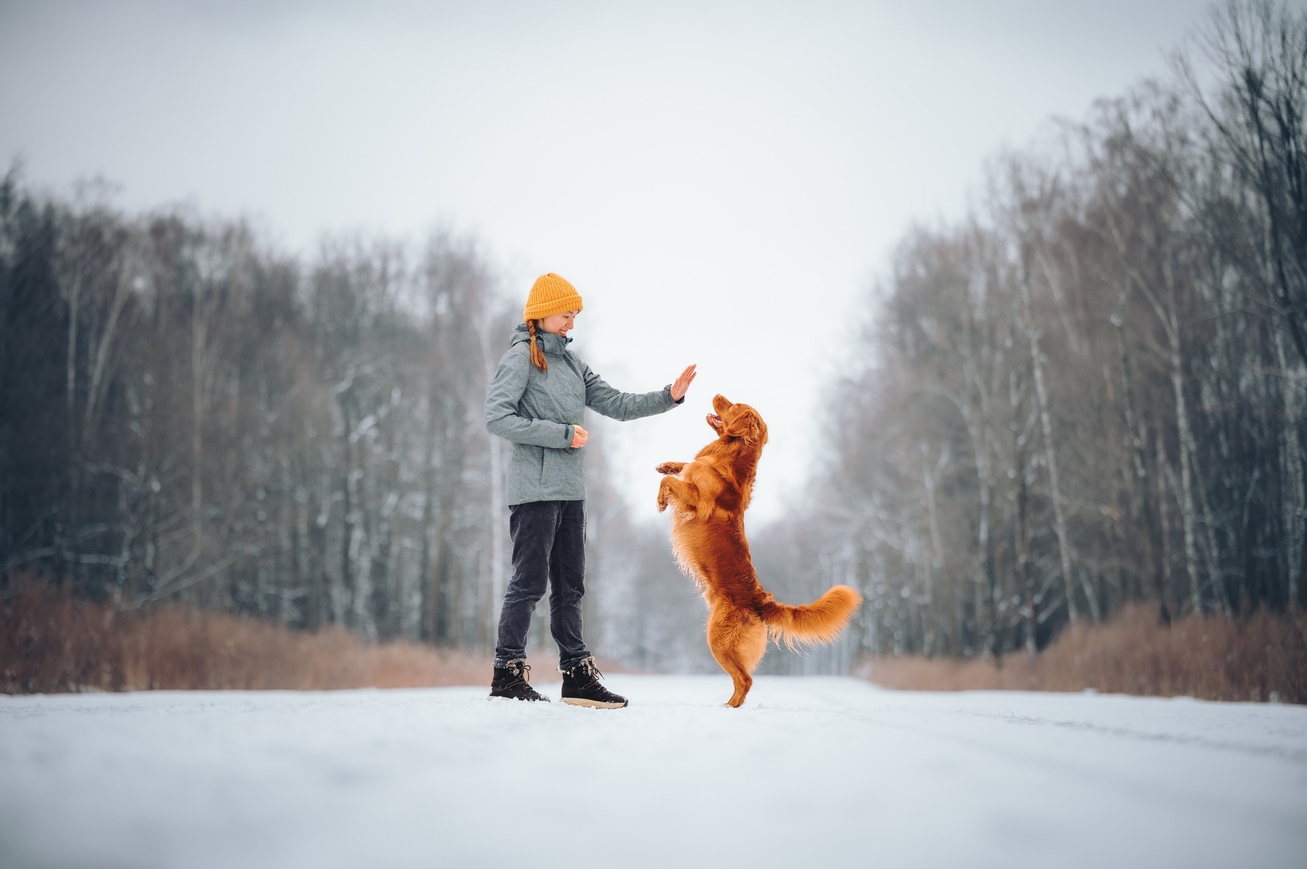 Наташа и Бубел. Семейный фотограф анималист Ананьева Мария — Москва