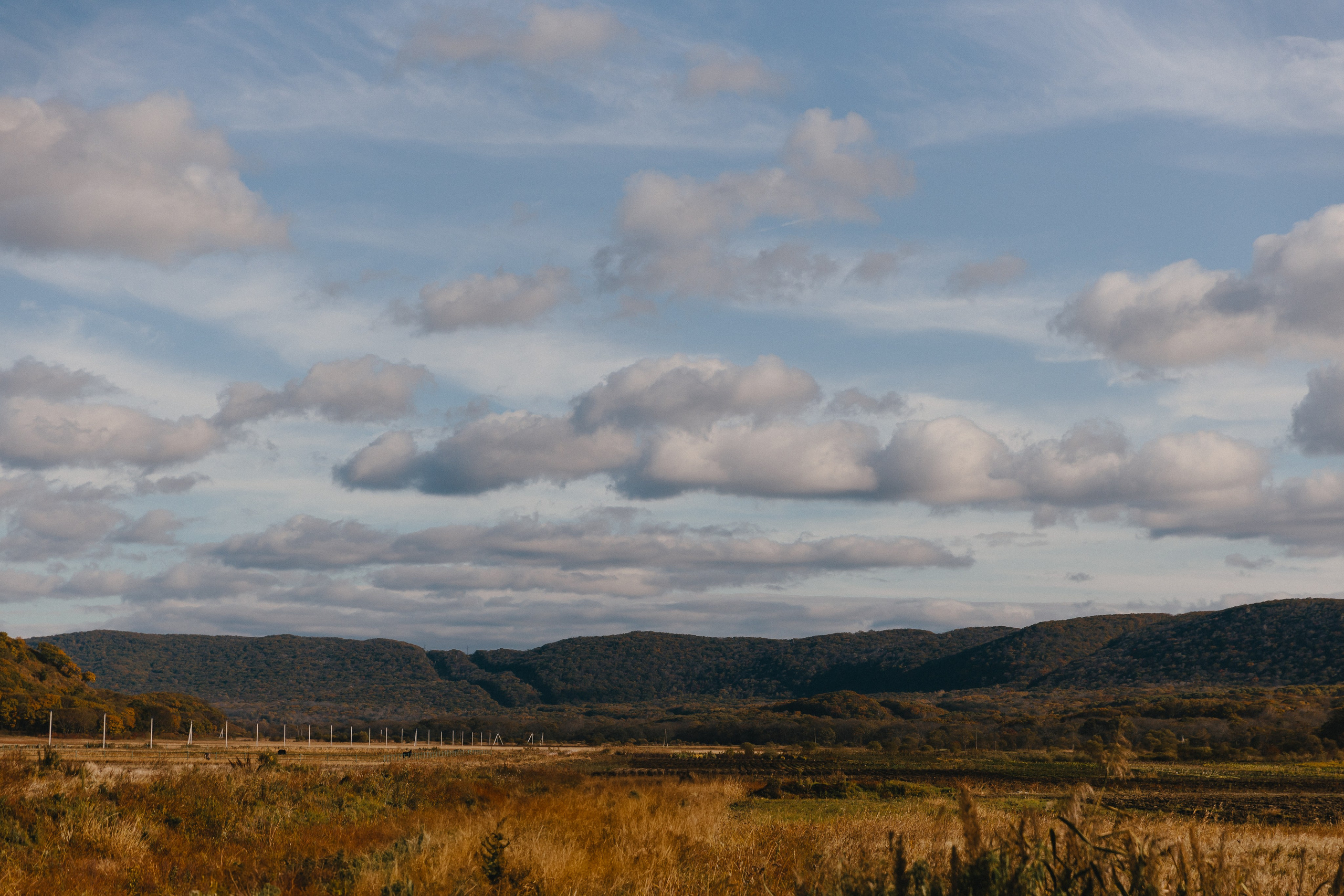 Осень. Свадебный и семейный фотограф Ворожейкин Олег. Фотографирую во Владиво