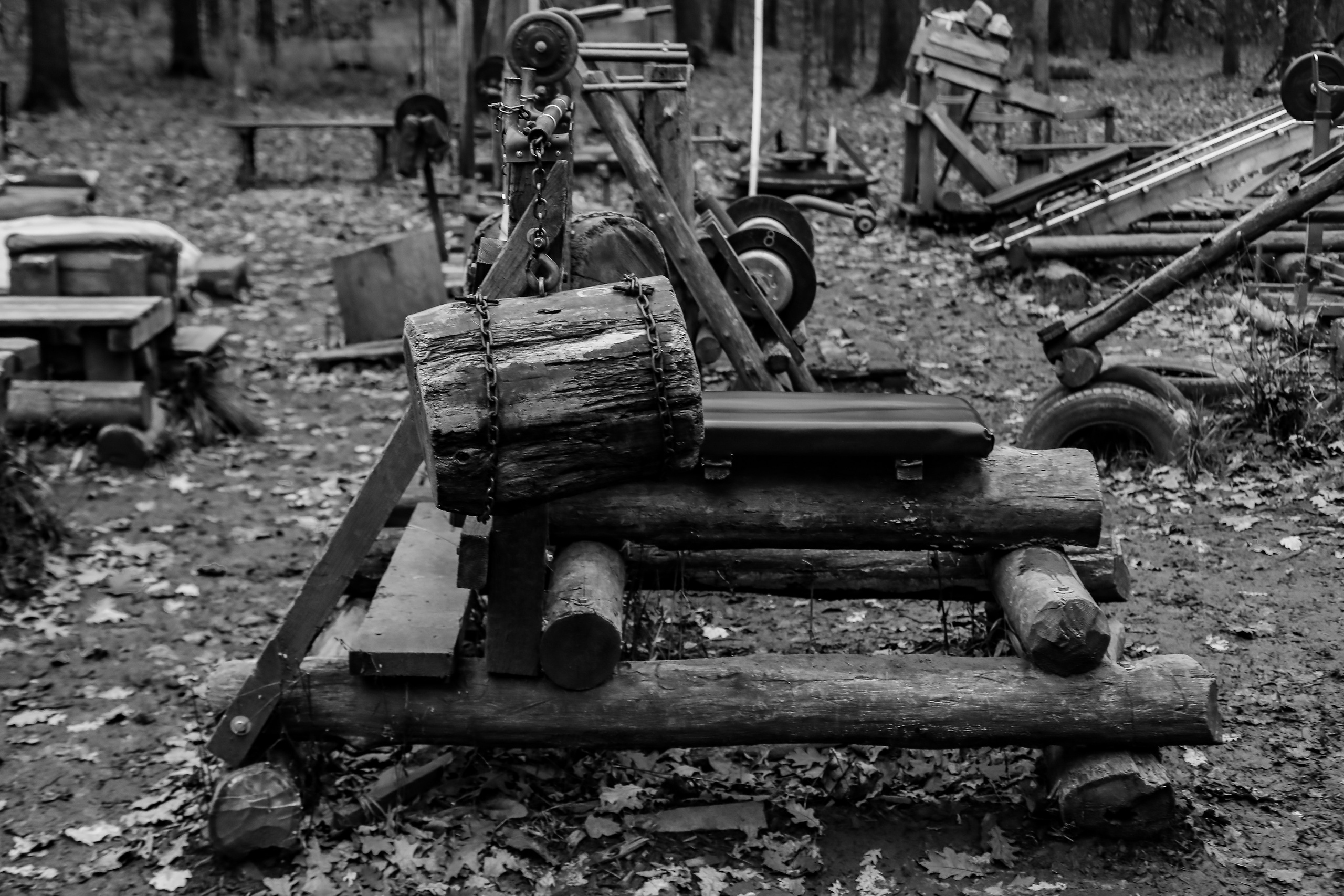 Качалка в лесу — 2022. Стас Привалов