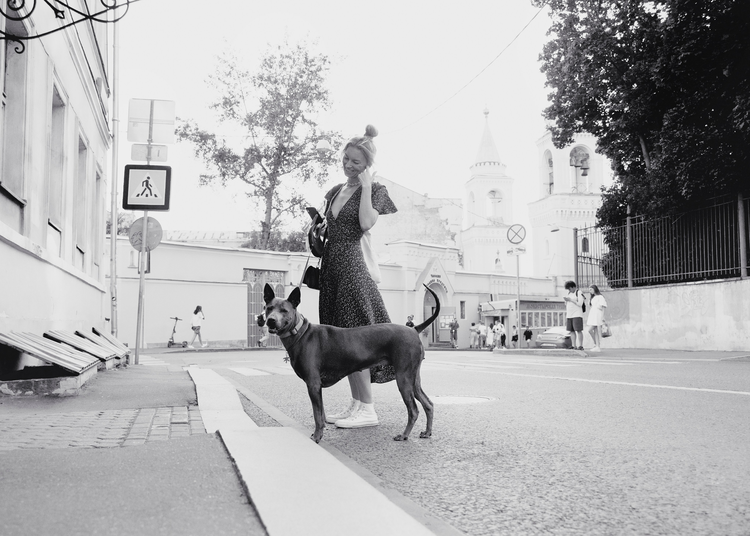 Шарма. Фотограф- анималист Александра Матвеева