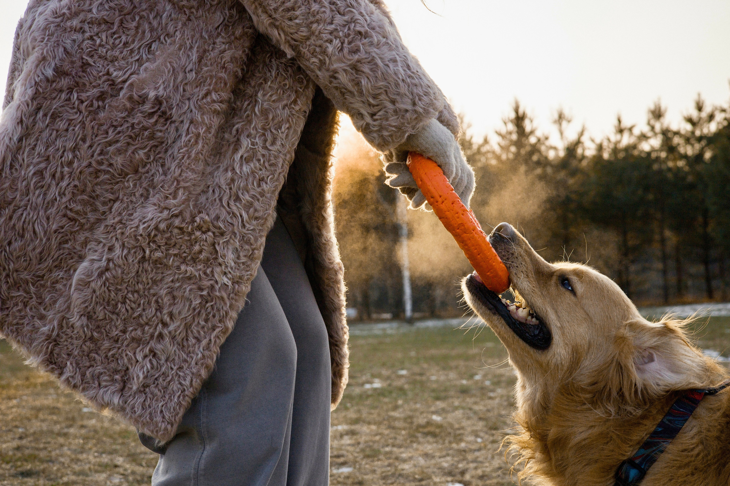 Лёва и Катя. Фотограф-анималист Ксения Шевцова|Москва