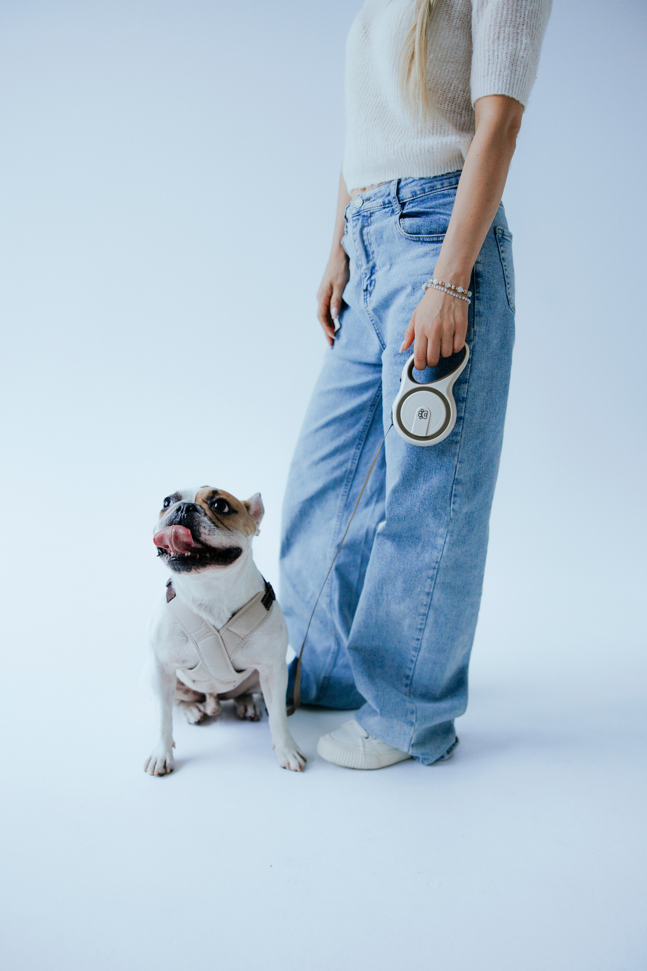 Pawsitive рулетки. Анастасия Белаш