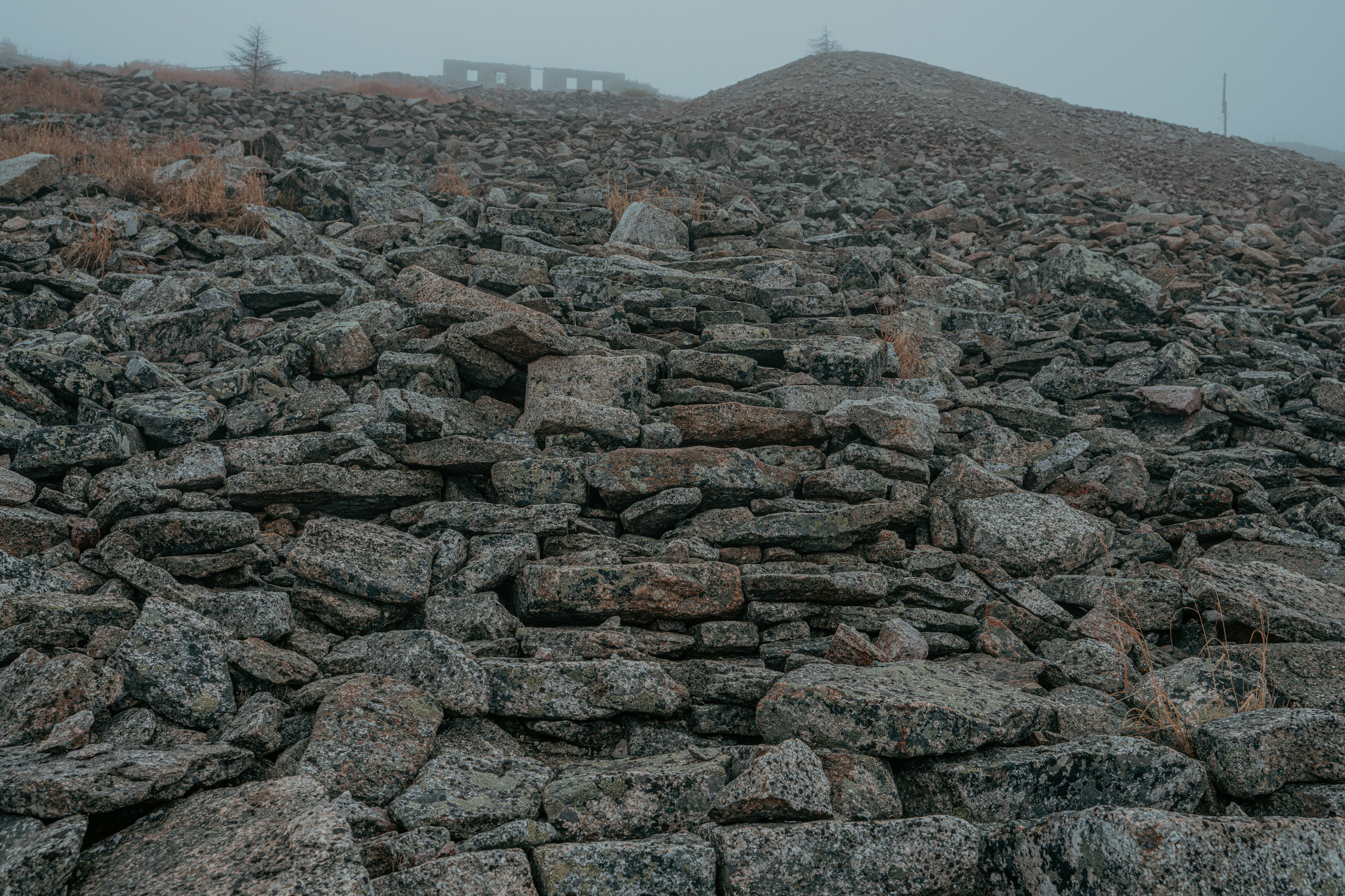 Планета Колыма. Элина Гусарова