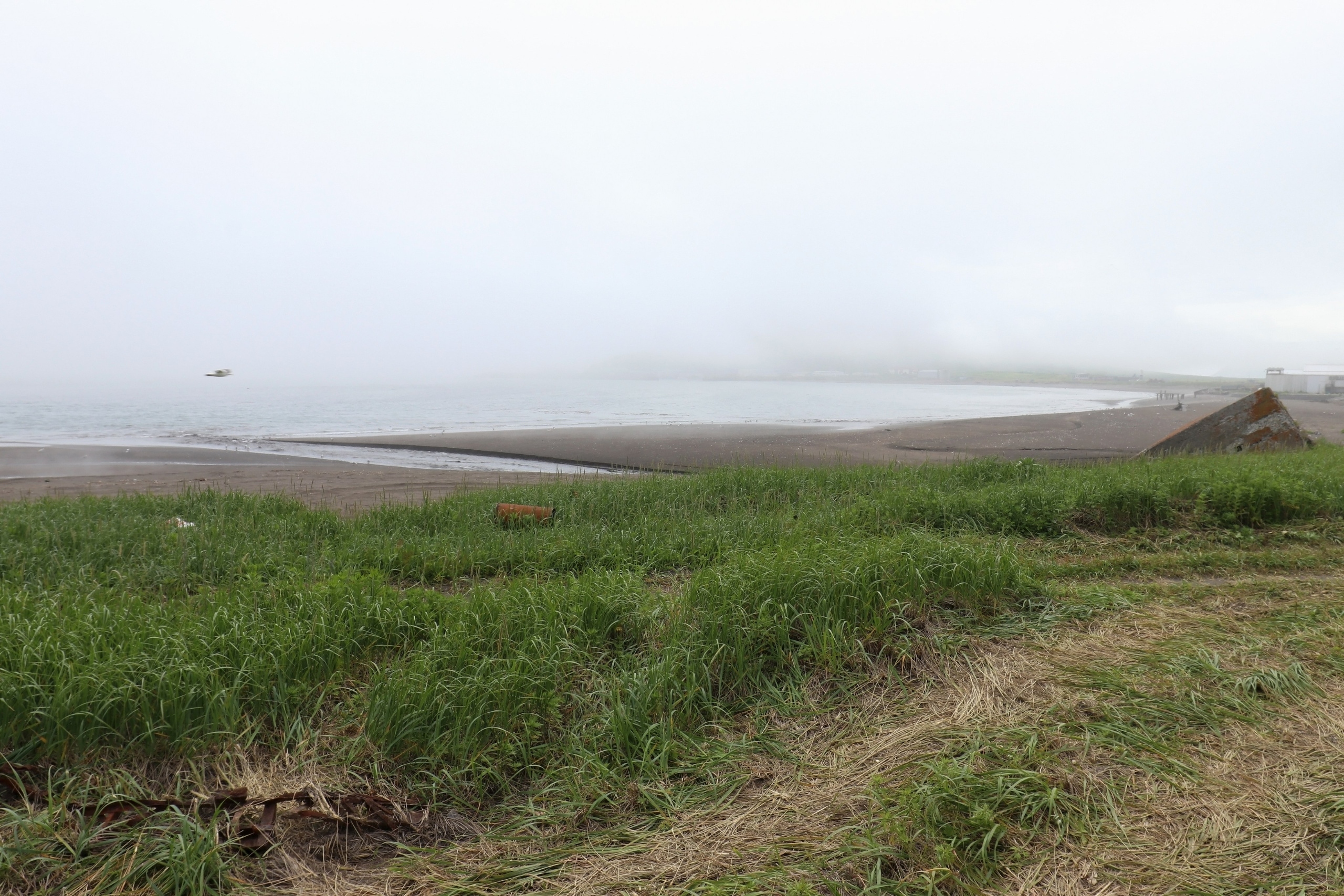 Камчатка и о. Парамушир. Июль 2024. Путешественник-фотограф из Санкт-Петербурга Татьяна Свистулина