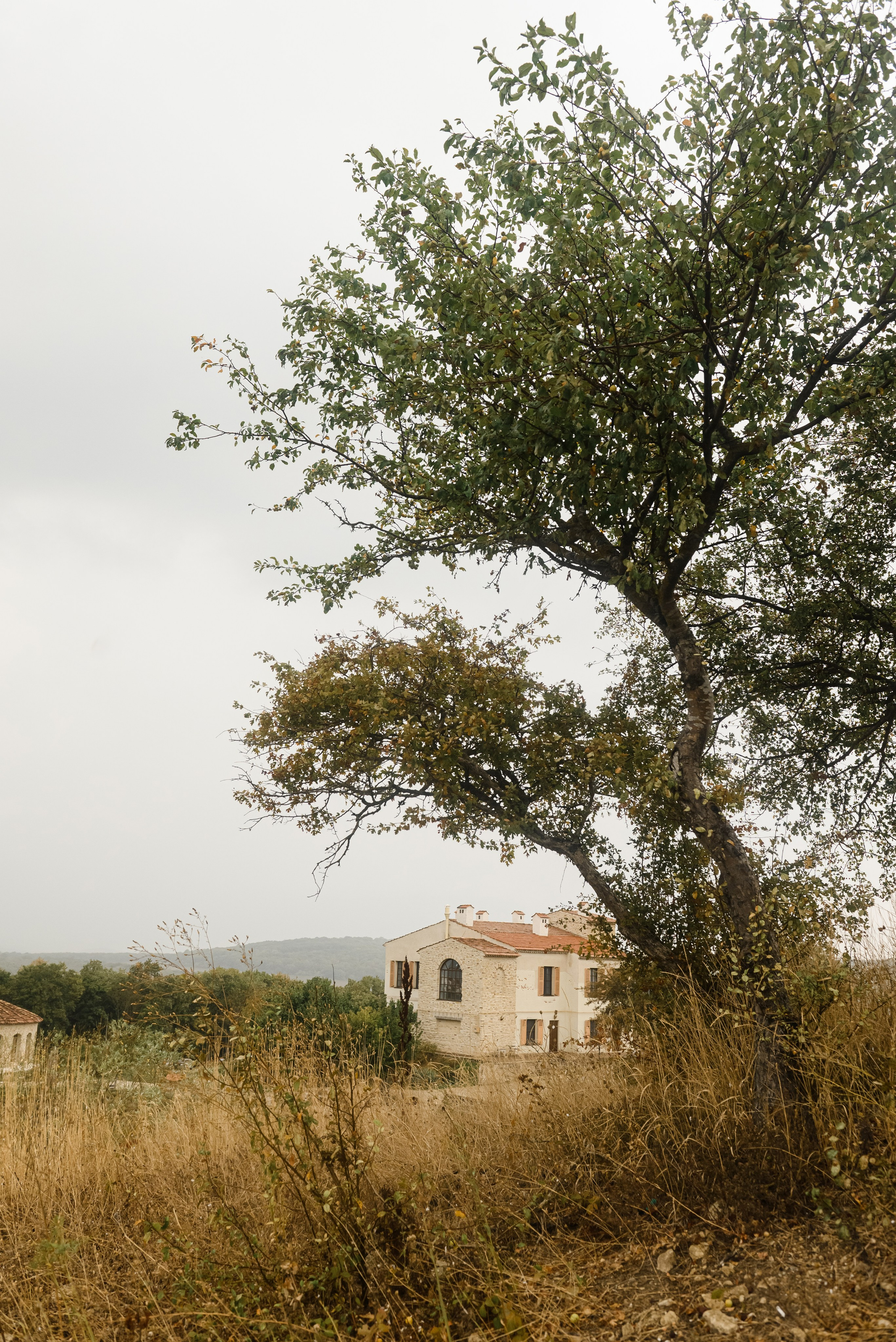 М&Н. Свадебный и семейный фотограф в Славянске-на-Кубани Прохорова Алёна