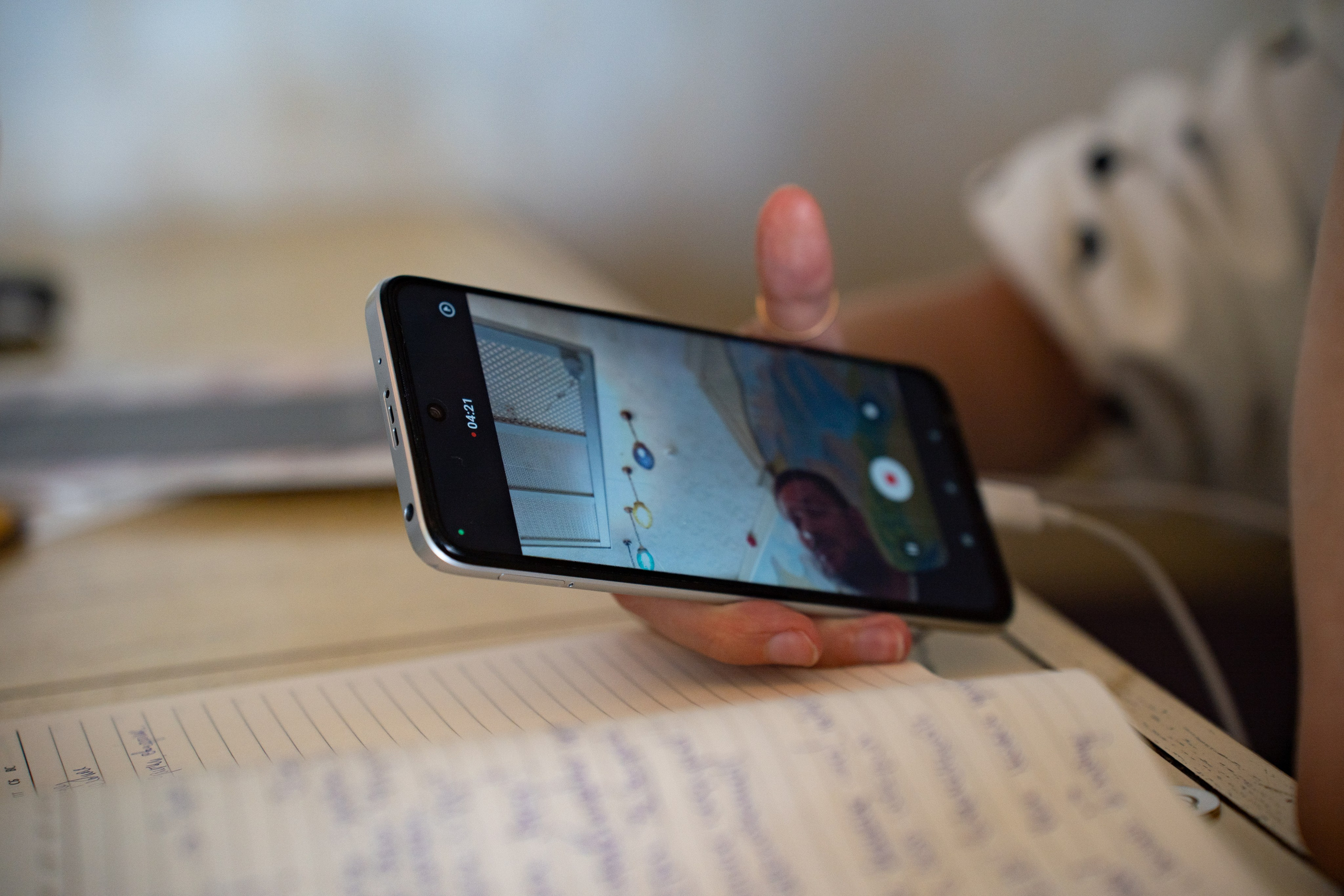 Прогулка на катере, тренинг, игры. Концертный и репортажный фотограф в Санкт-Петербурге Слава Пахомов