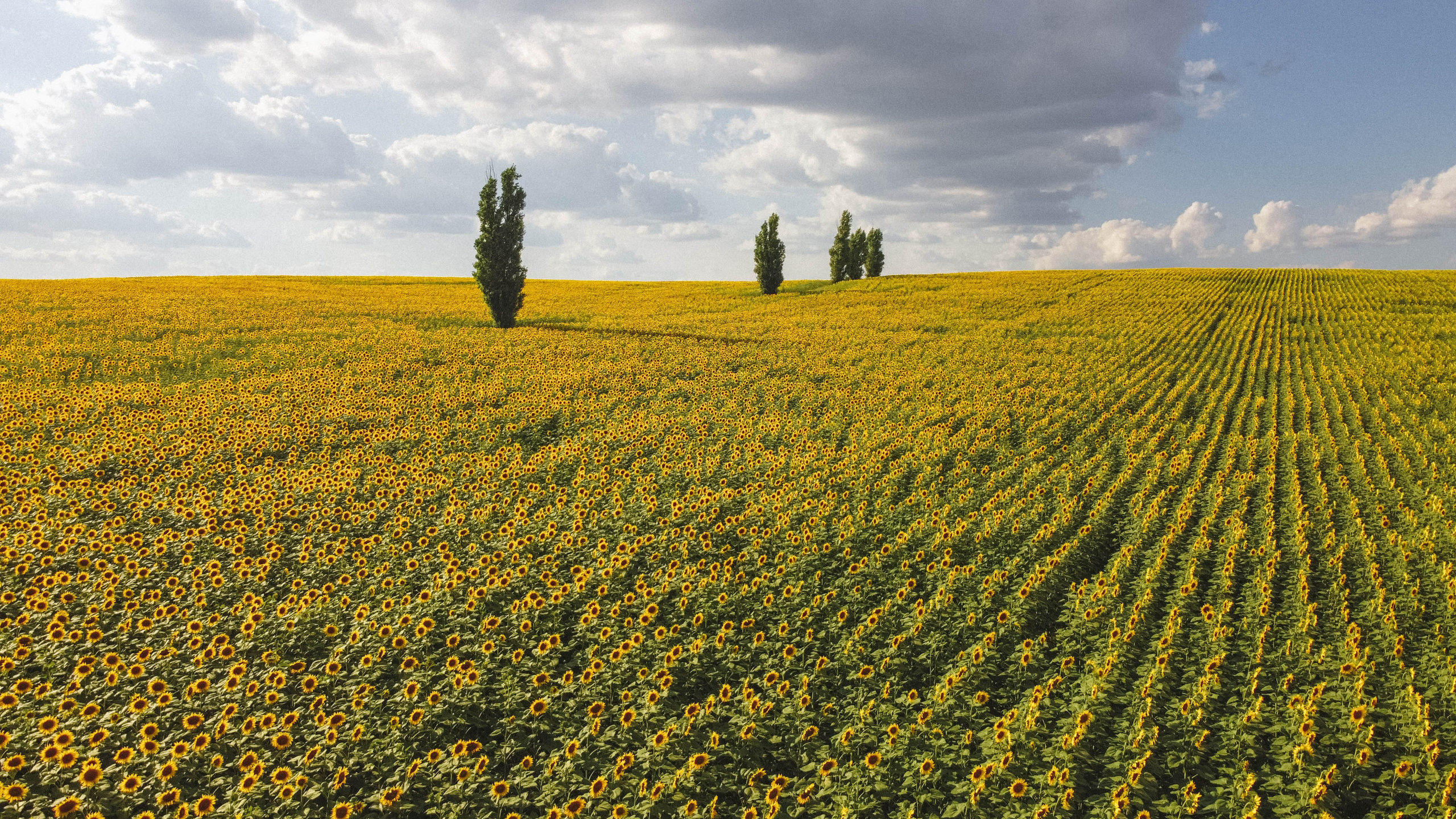 Nature. Артем Корнев Фотограф