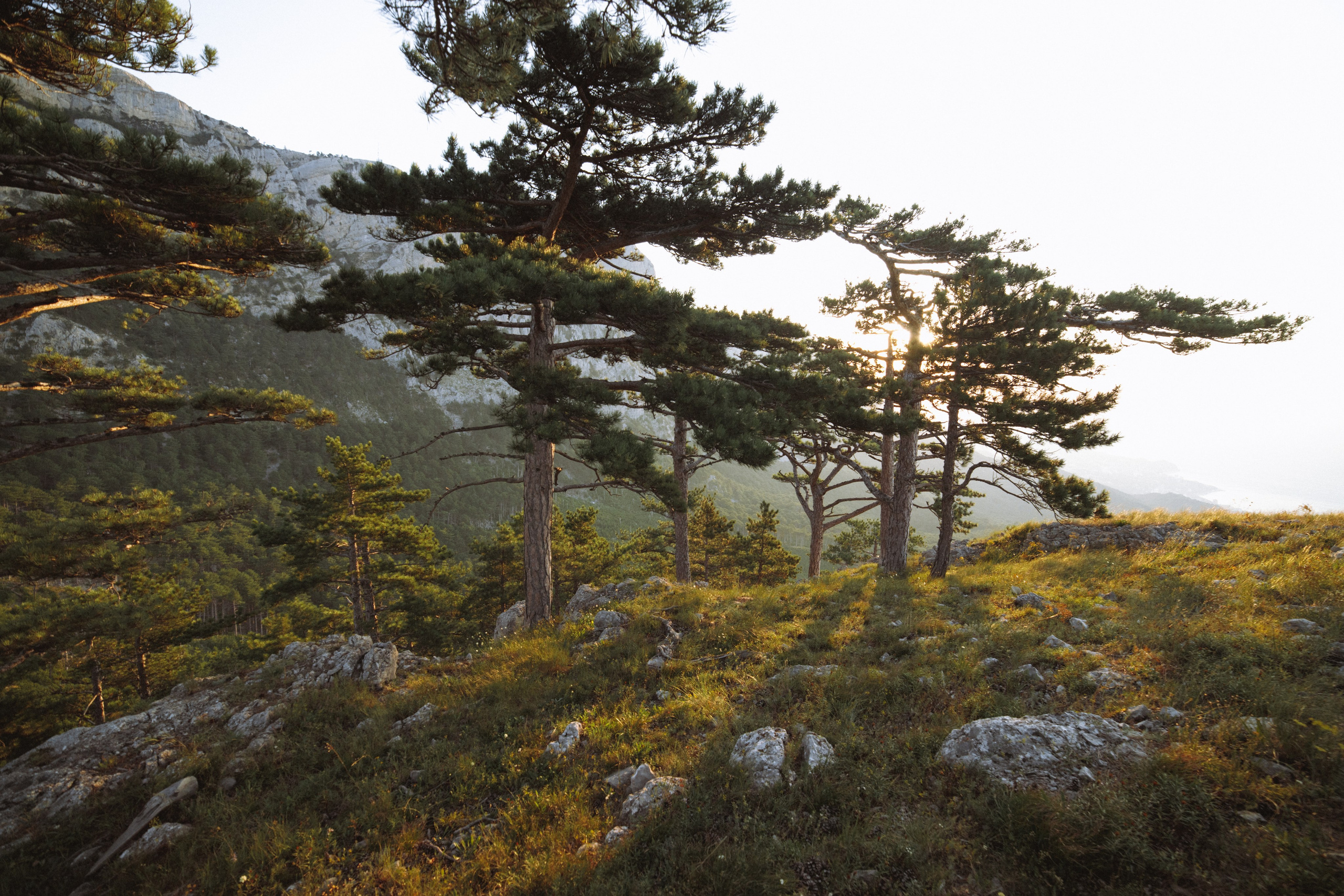 Nature. Артем Корнев Фотограф
