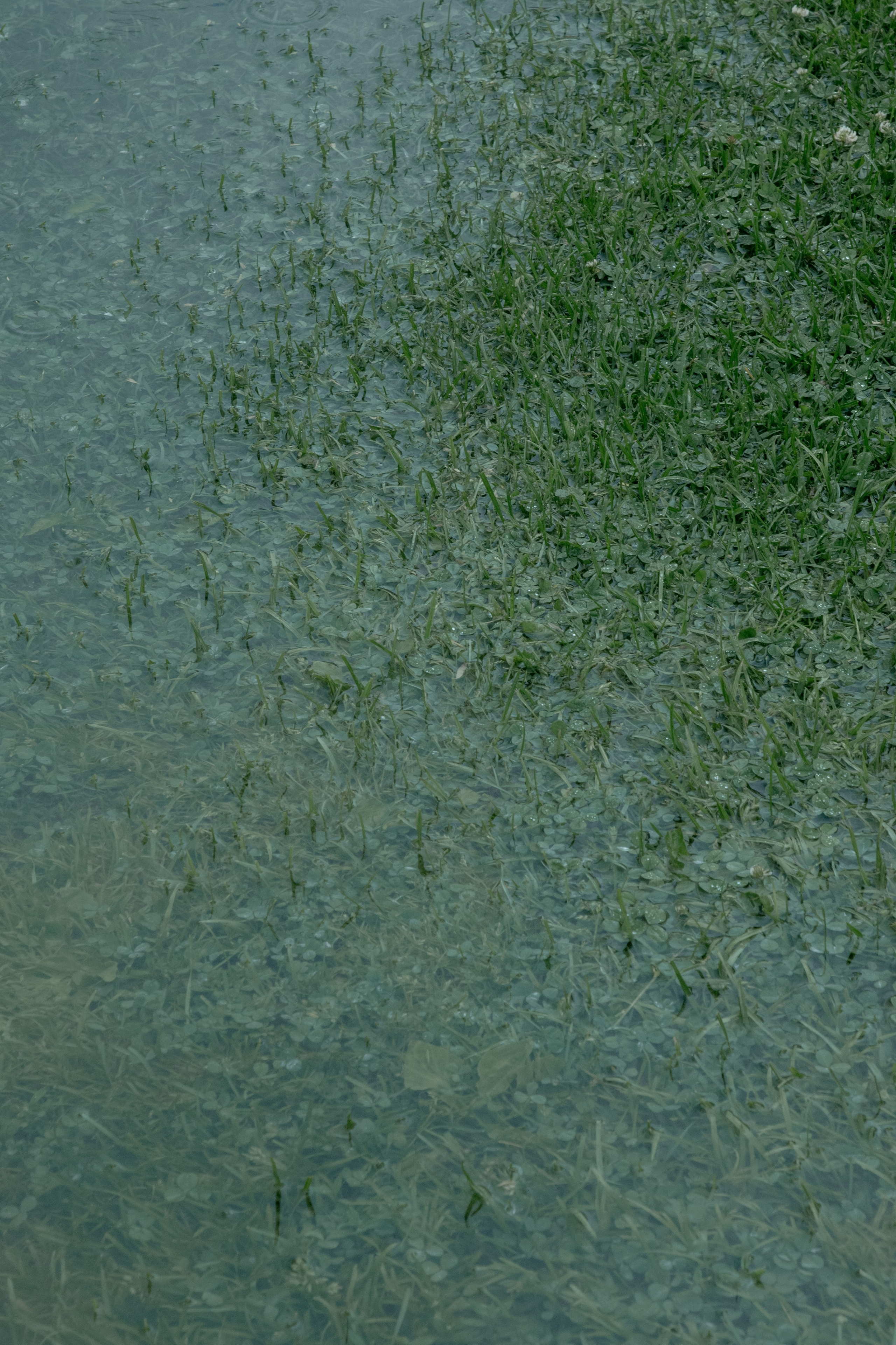 Природа. Александра Панина фотограф, портрет, семья, бизнес, Новосибирск