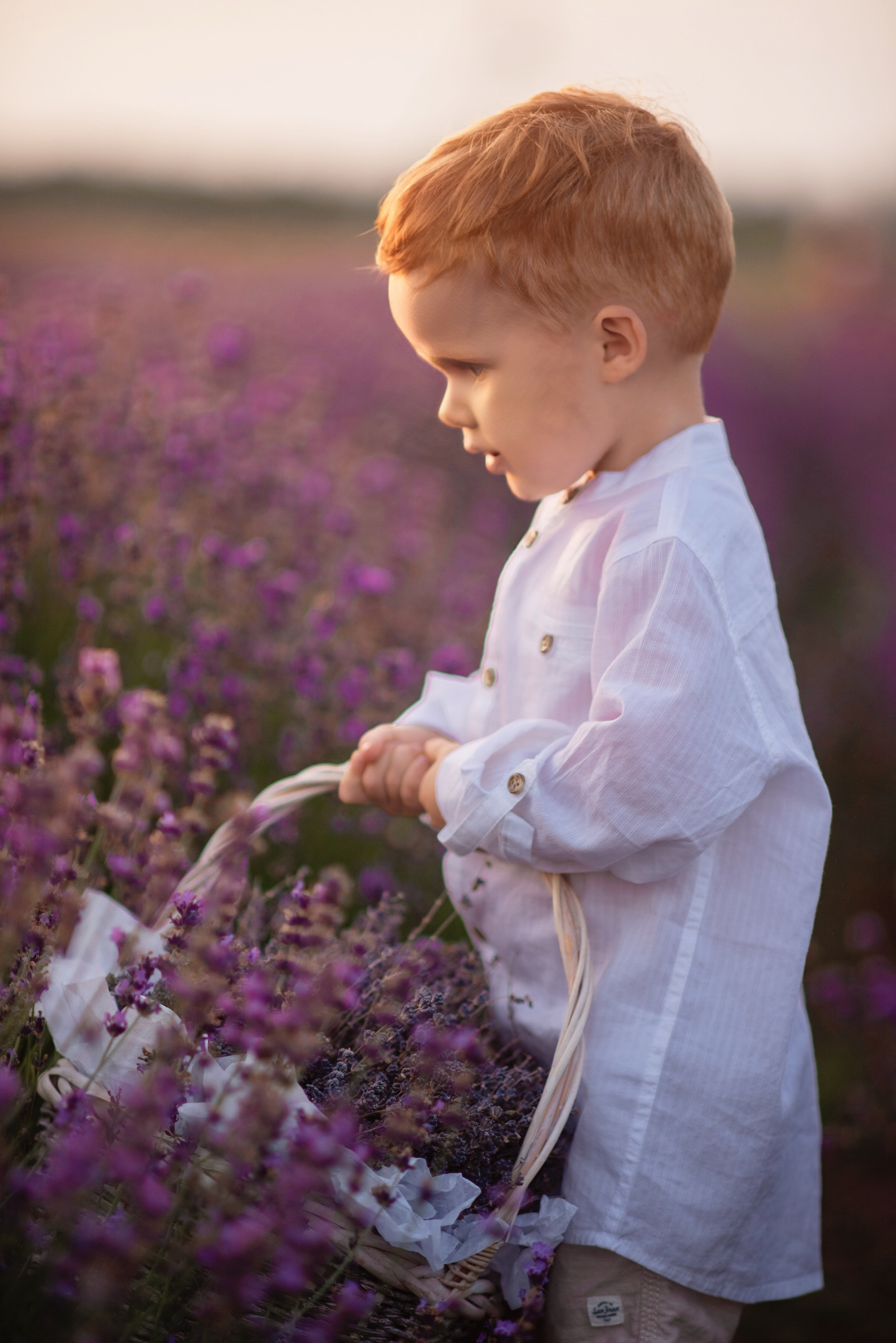 Лаванда. Семейный, детский и женский фотограф в Ростове-на-Дону Кирилина Екатерина