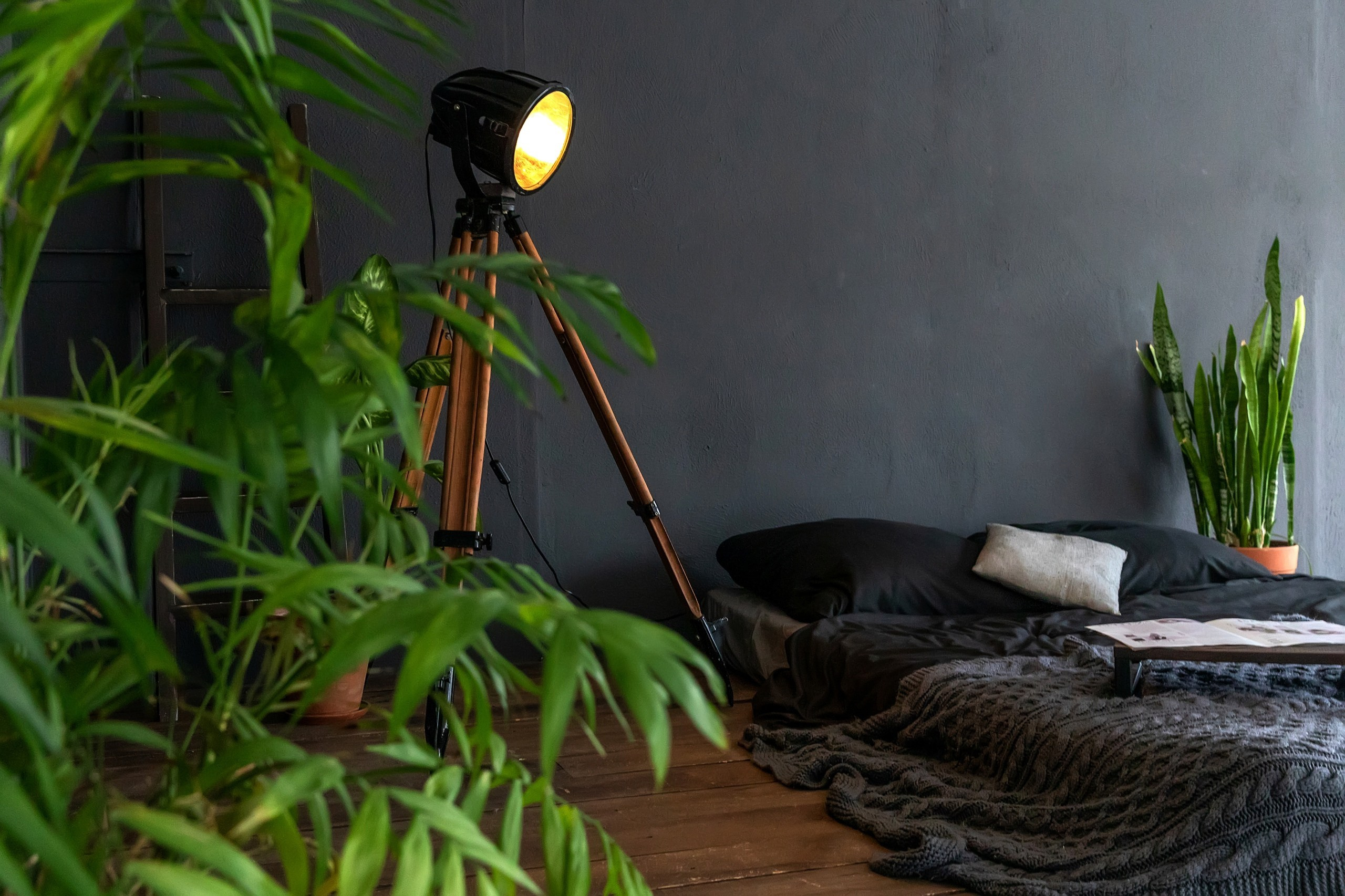 Студия 17 зал 1. Фотограф г. Пенза — Светлана Зойкина