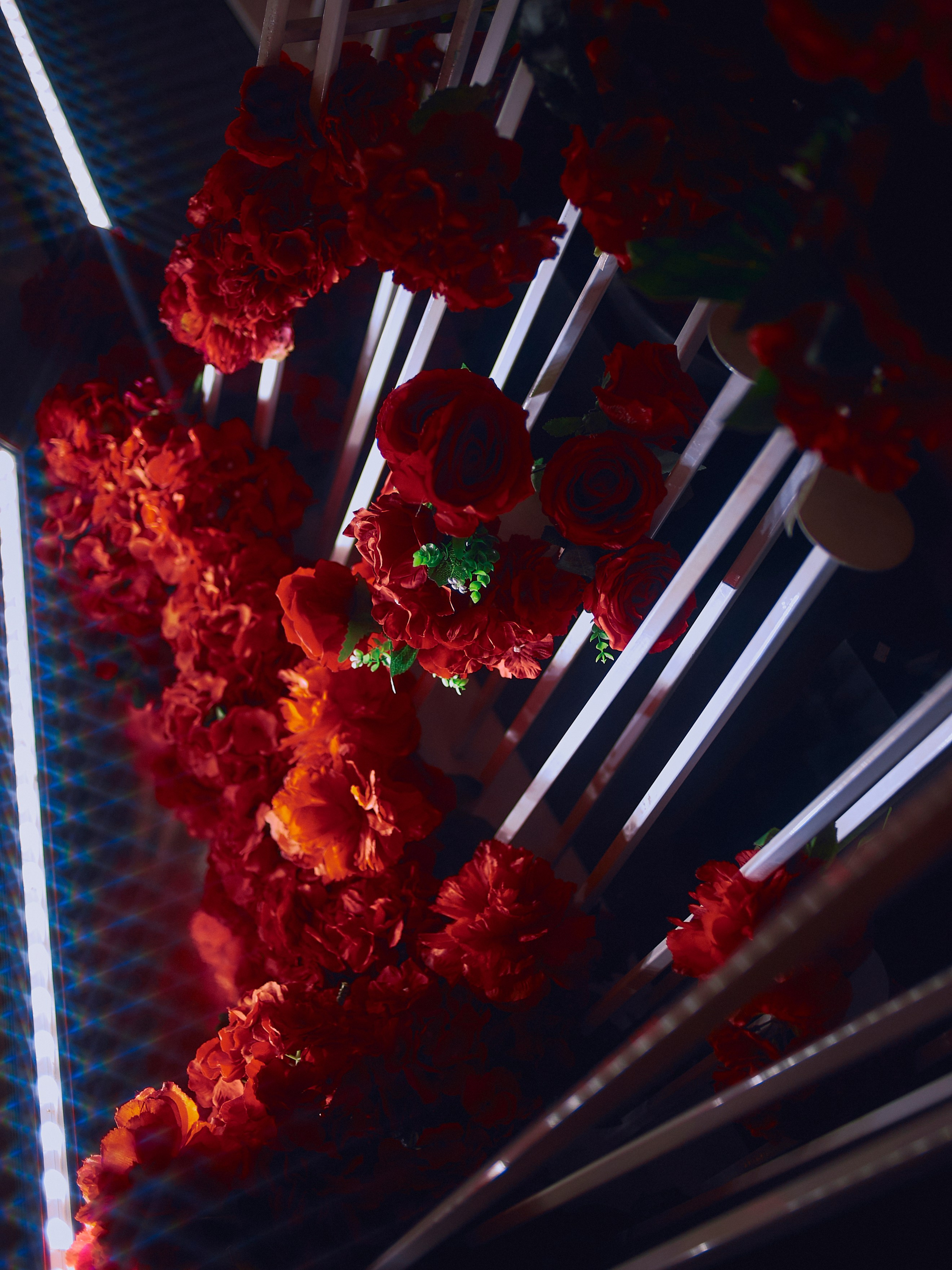 PORSCHE. Egor Plakhotin Photography