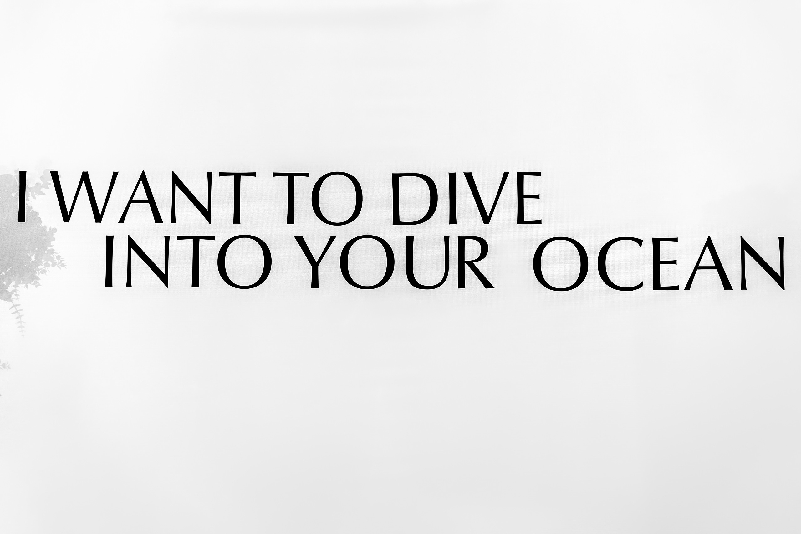 I WANT TO DIVE INTO YOUR OCEAN. MANGO EVENTS Организация свадеб и мероприятий