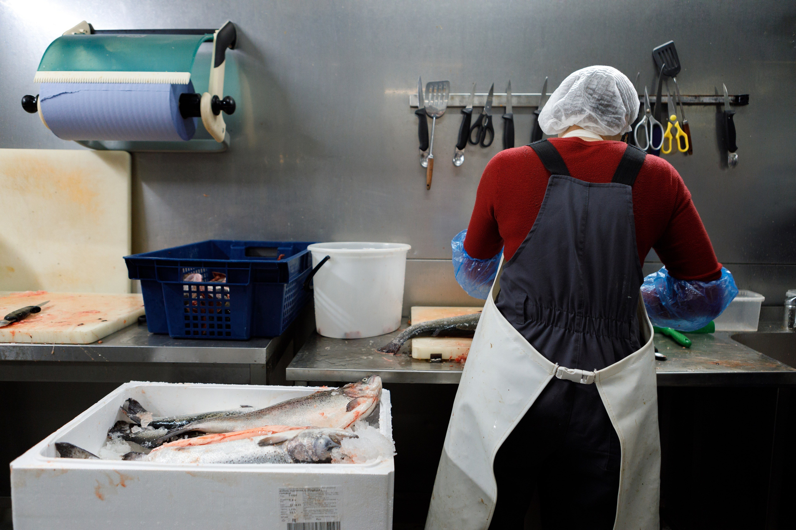 Kala-Ranta Trout Farm. Commercial photographer | Anton Ermakov