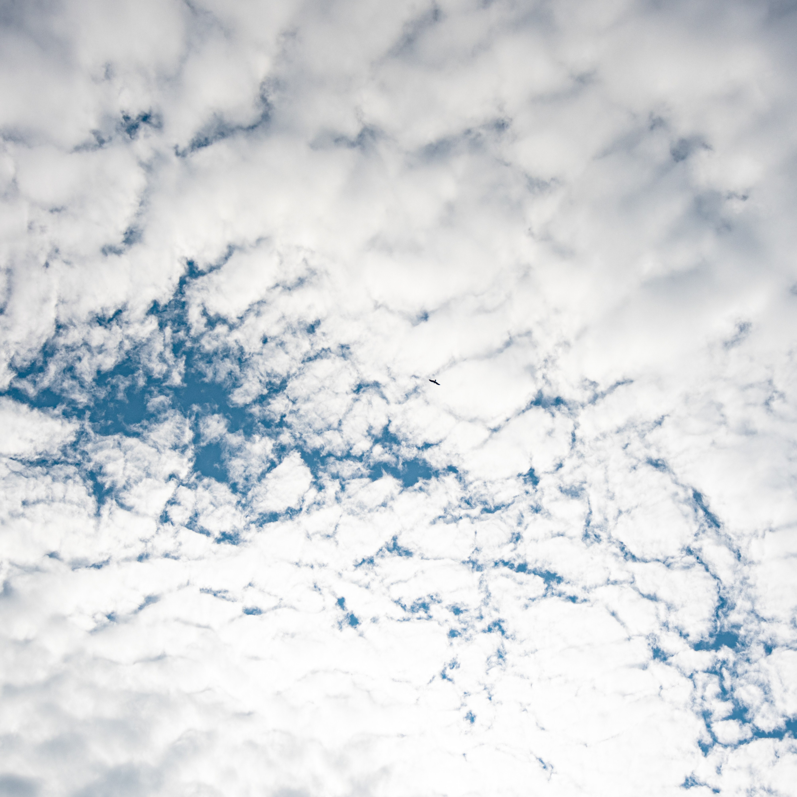 Природа Самарской области в кадре. Дикие степи, Жигулёвские горы и волжские просторы — авторские фотографии уникальных ландшафтов. Фотограф Самара — репортажная, свадебная, интерьерная съёмка от Ильи Петрова, профессионала своего дела