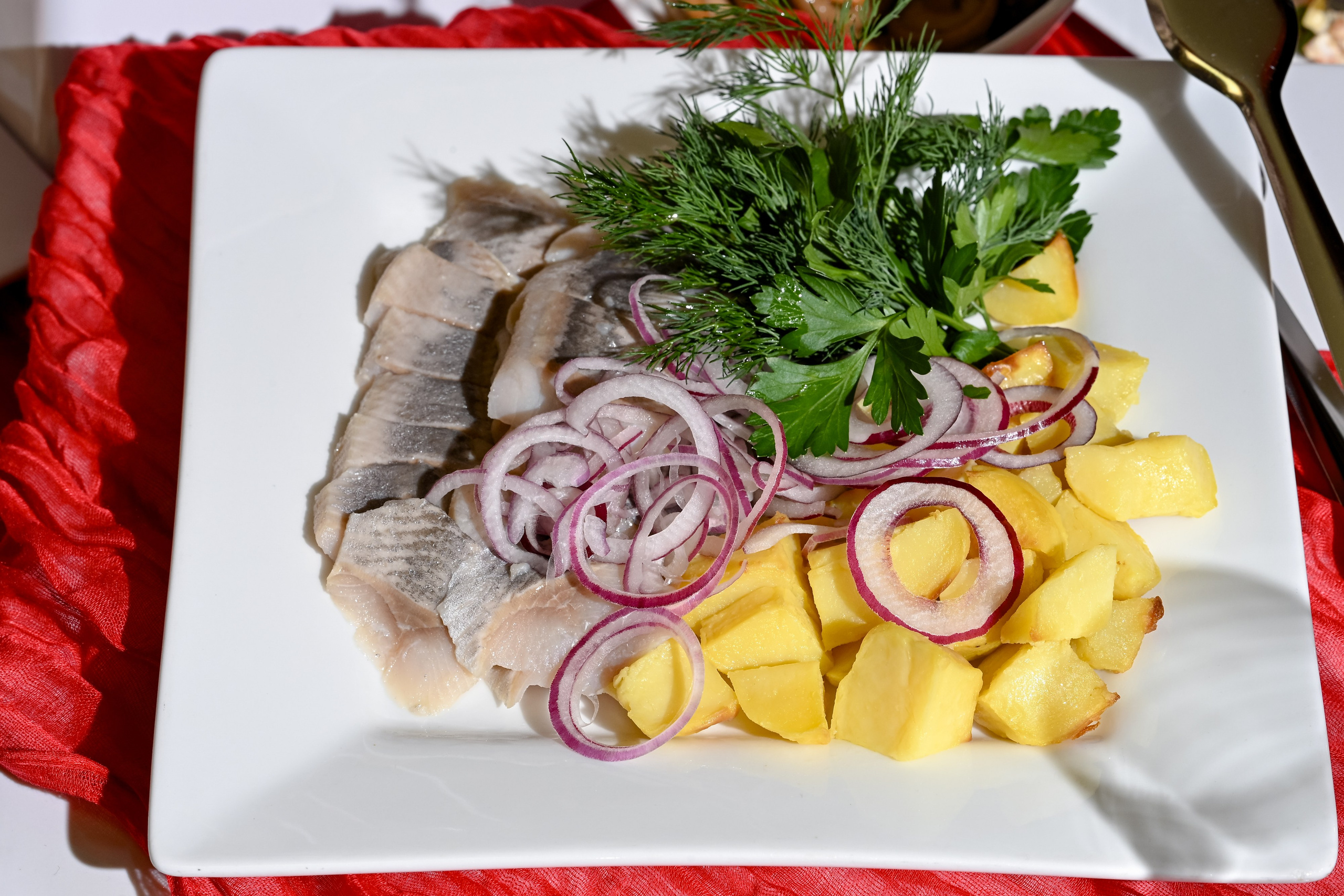 Корпоратив 2025 X5 TRANSPORT. Фотограф