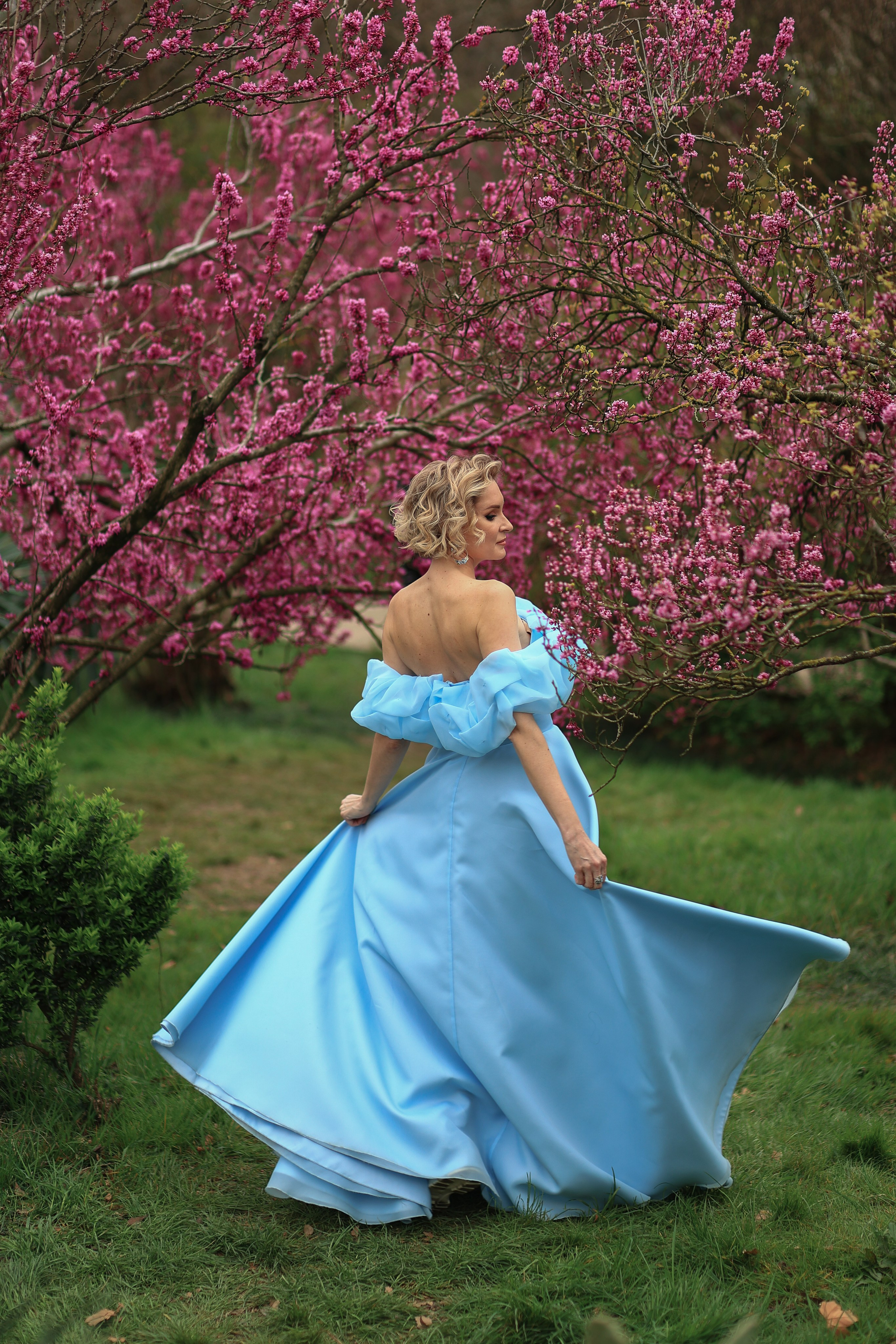 Цветение. Магнолия. Сакура. Фотограф в городе Сочи