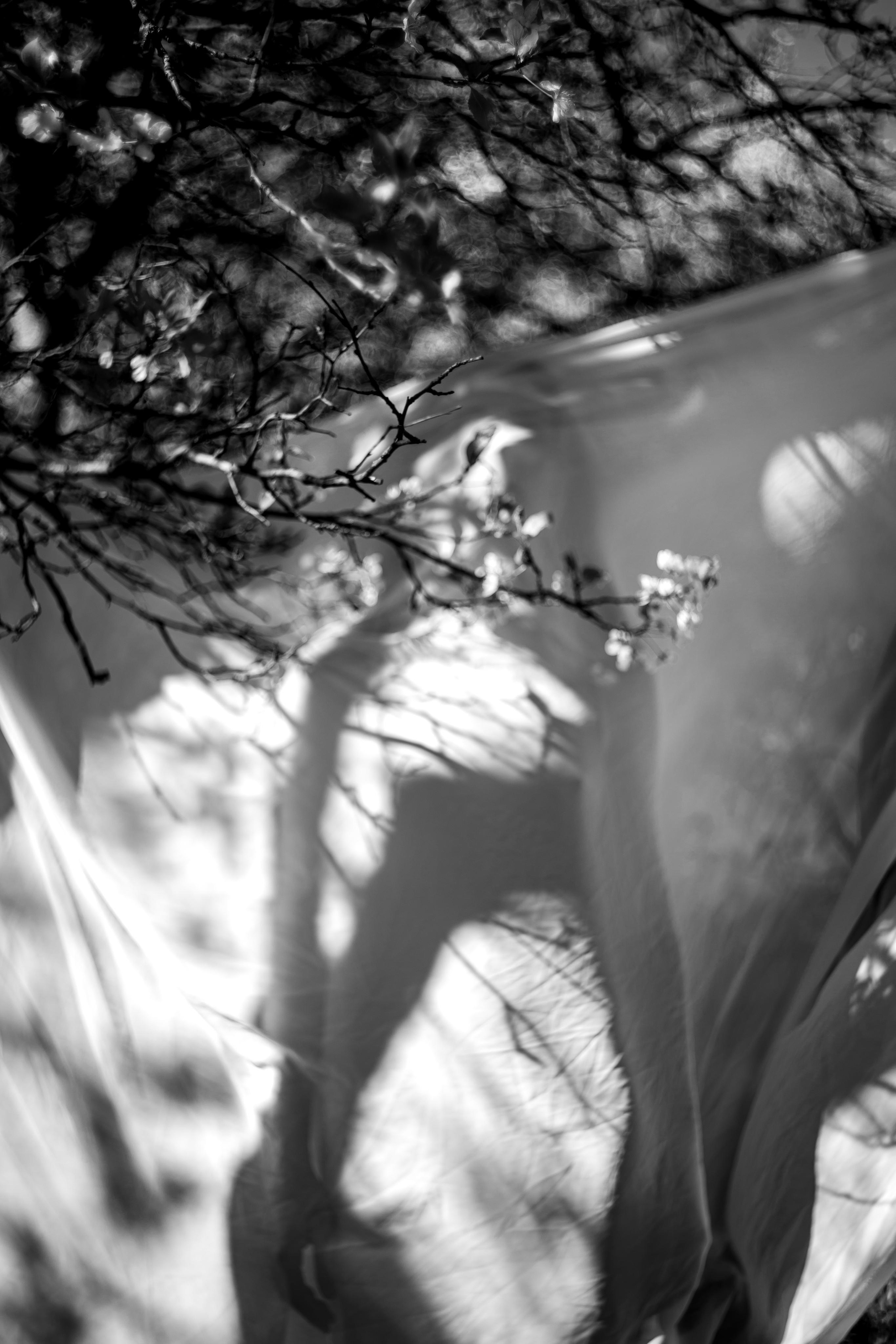 Ника в Вишнях. Фотограф в Москве Лера Юдина