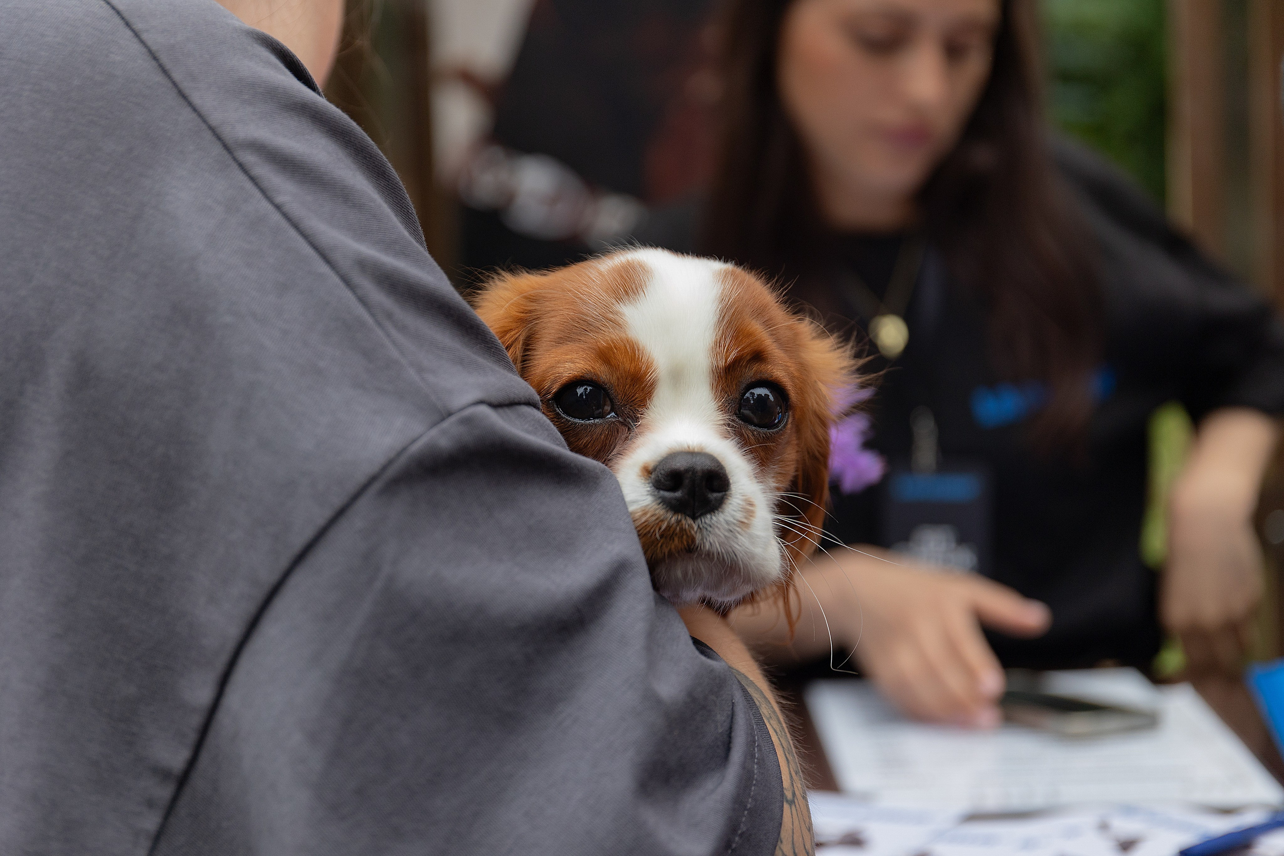 Petshop Days 2026. Репортажный фотограф
