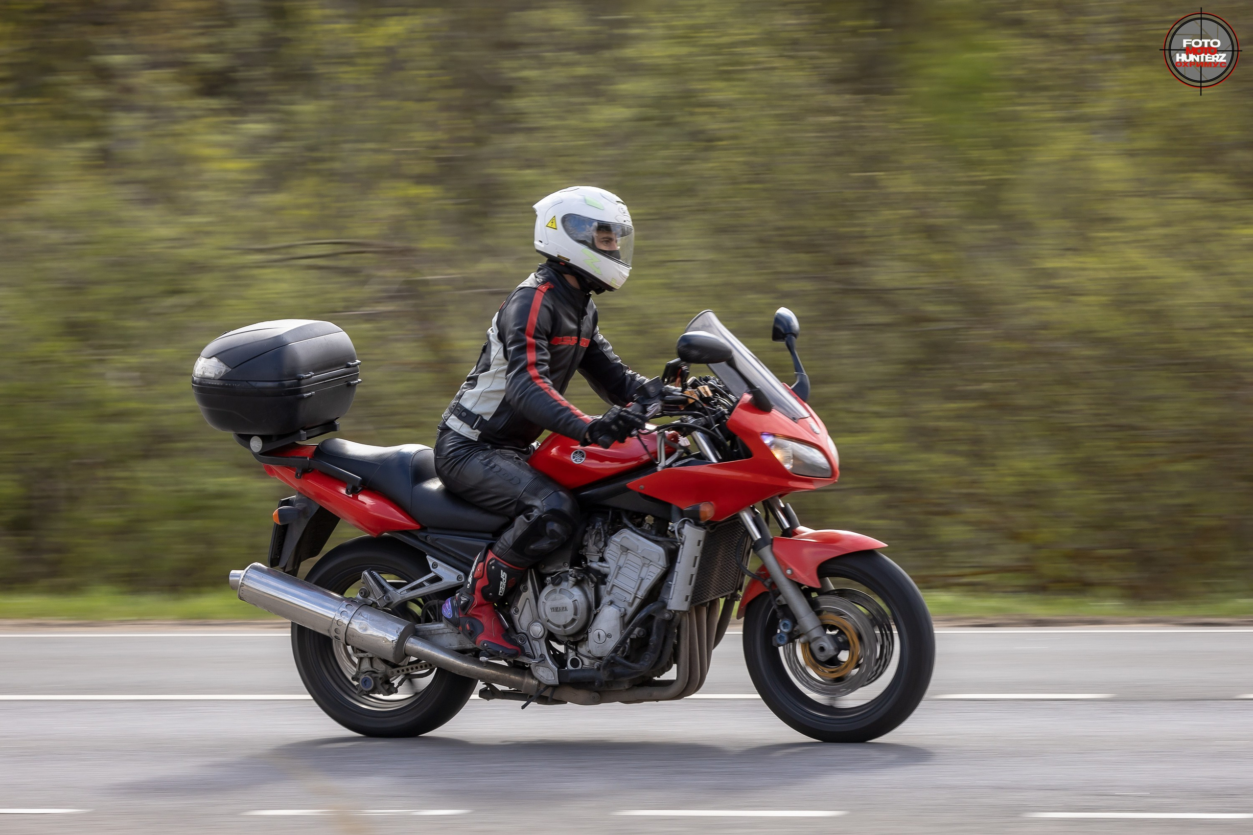 Первое Сафари в 2025 г. на Рогачевском ш. Фотограф Владимир Охрименко