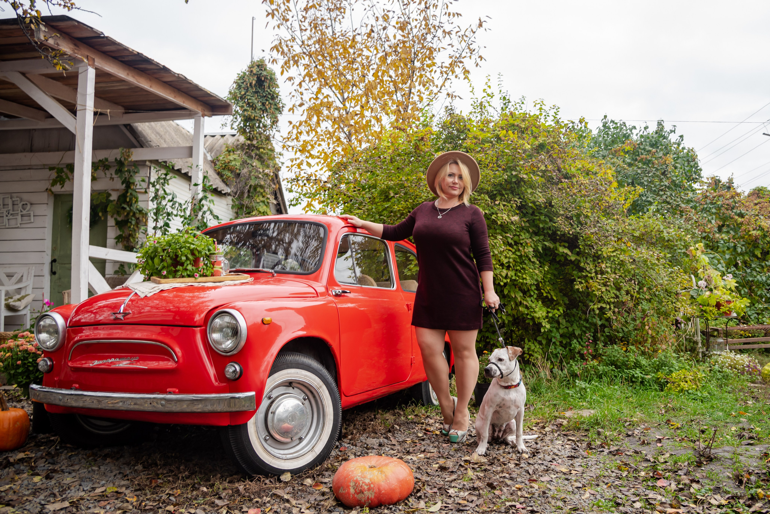 Авакадо. Фотограф Галина Нестерова