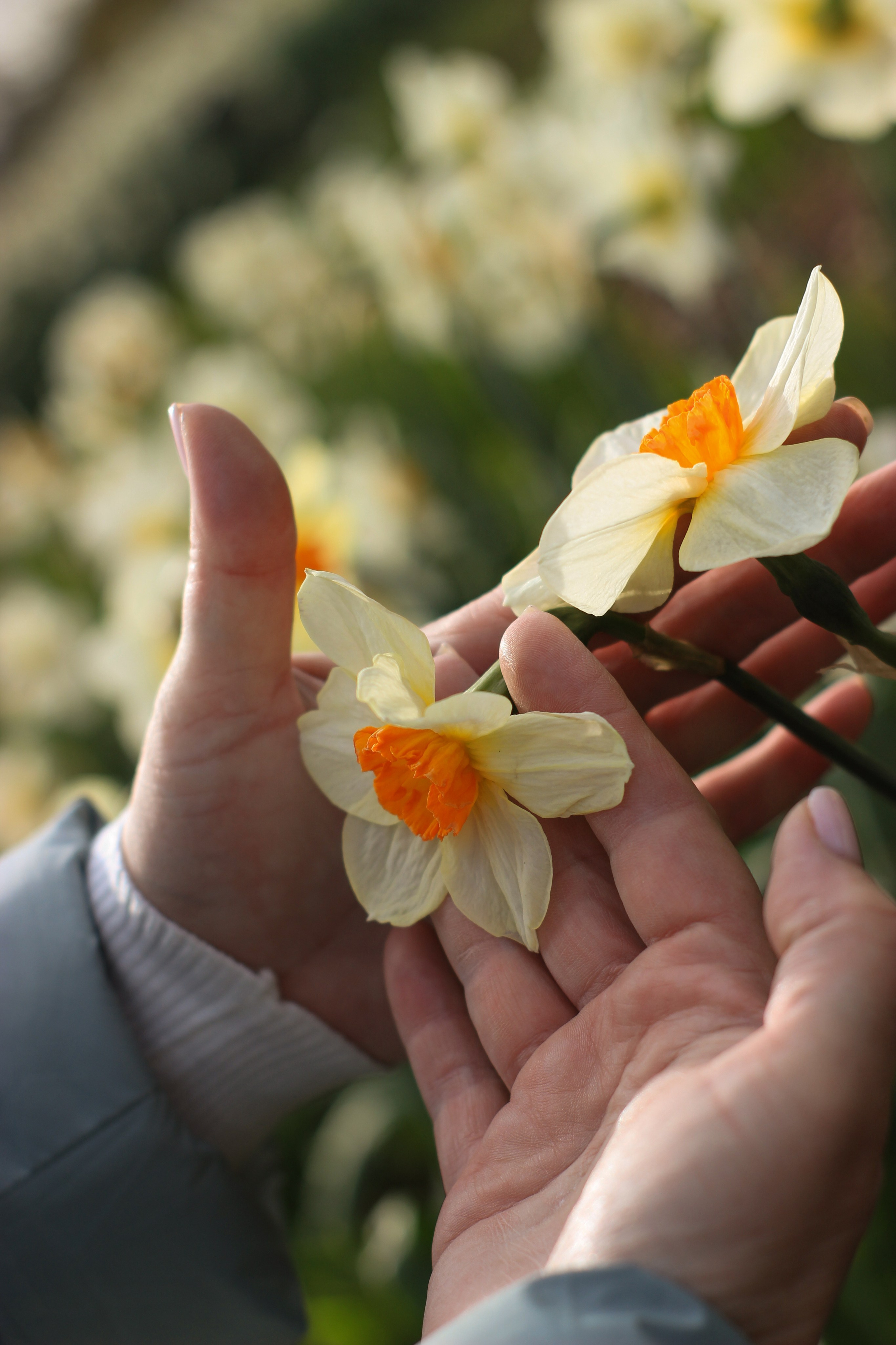 Прогулочные фотосессии. Фотограф Ольга Южная / Екатеринбург