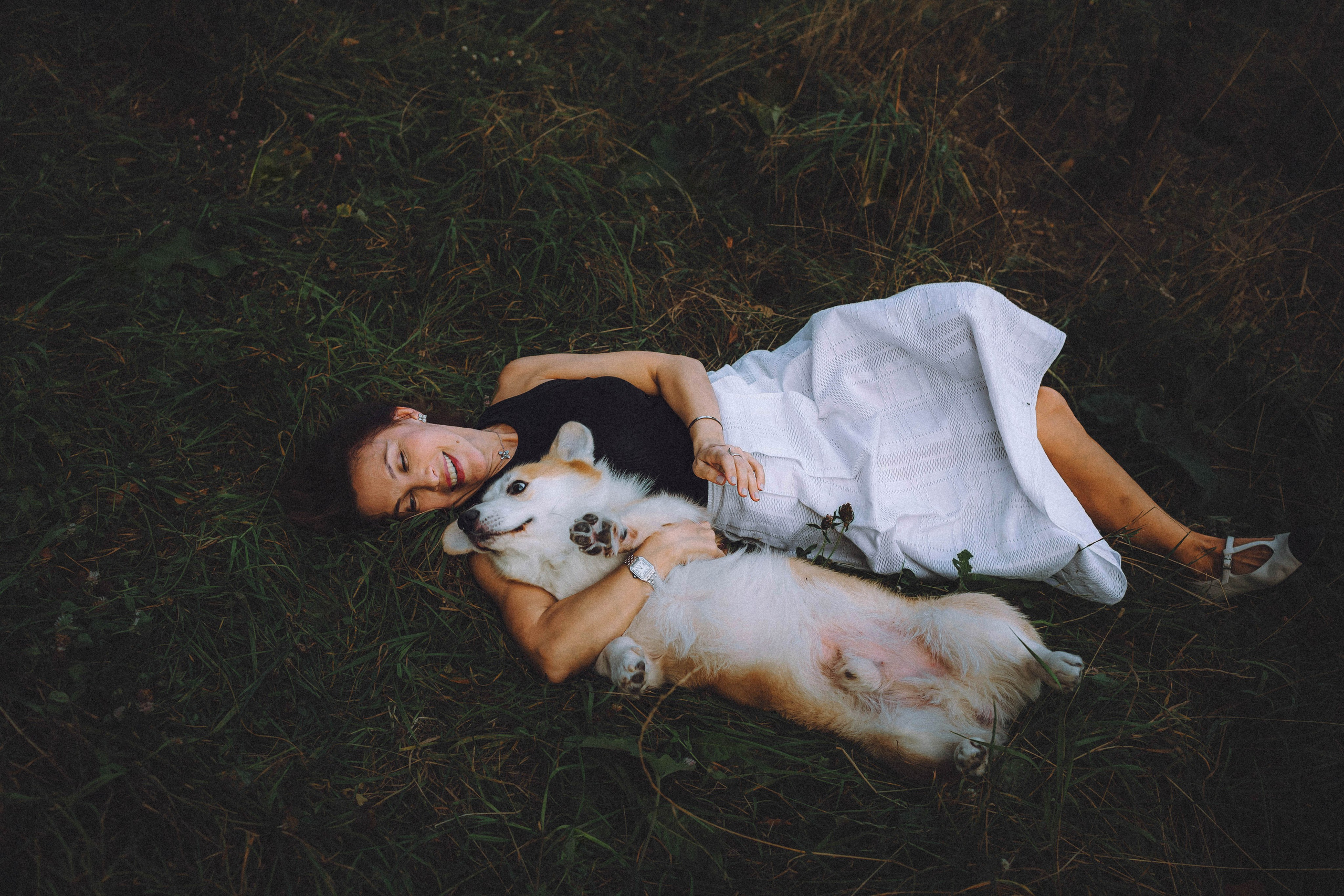 Арчи и его семья