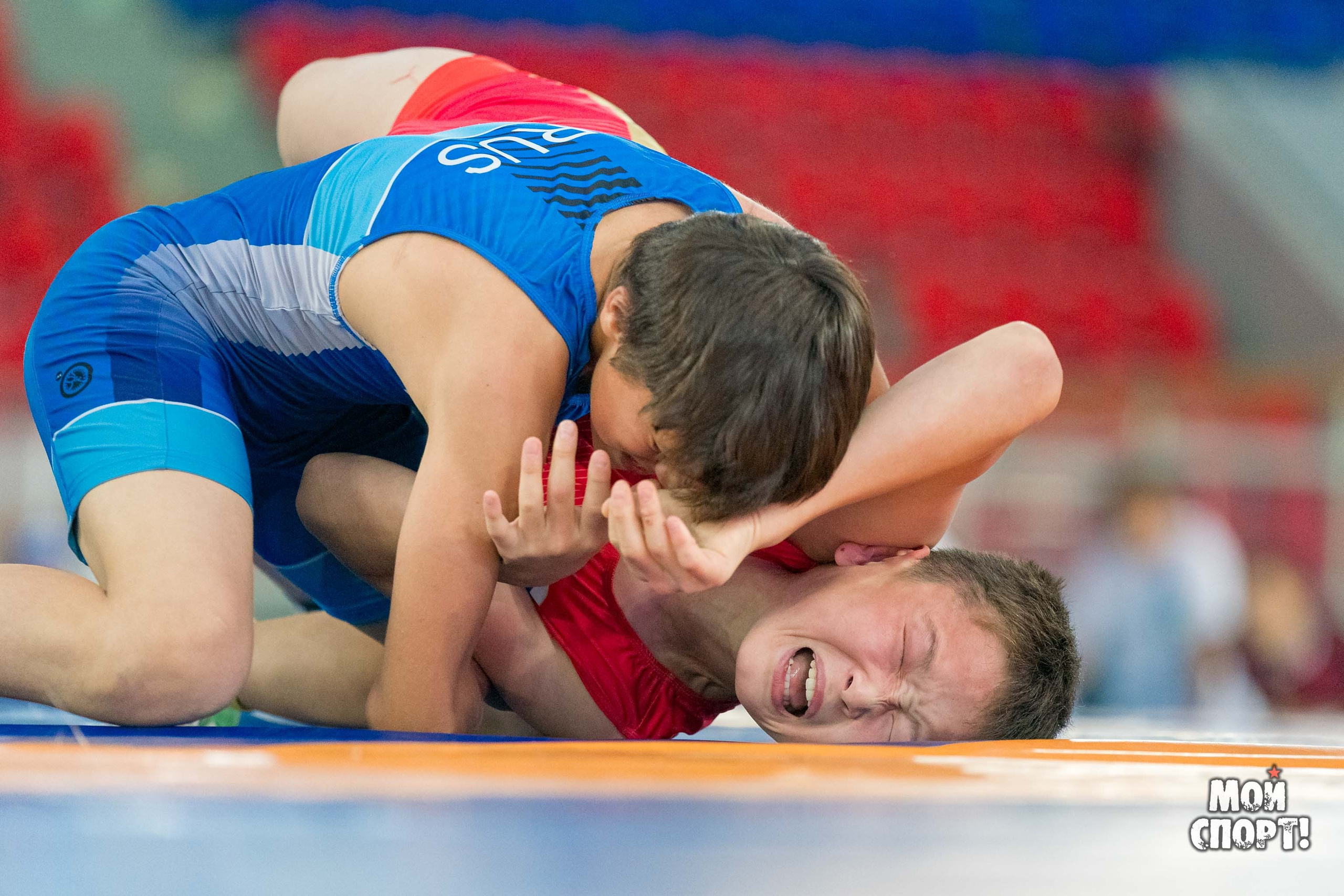 Соревнования по вольной борьбе в честь П. П. Пинигина. Студия «Мой Спорт!» — все о спорте в Якутии