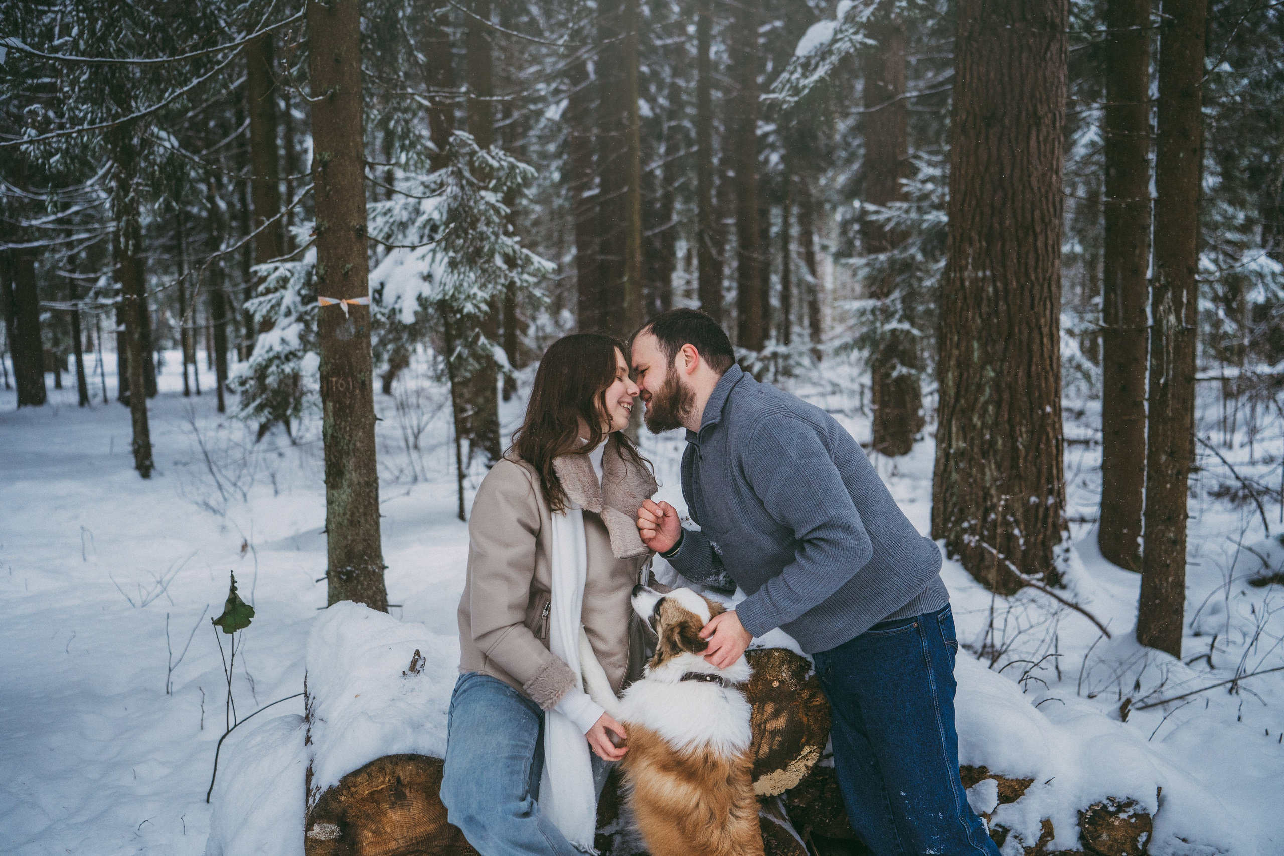 Катя, Анатолий и Елай. Фотограф анималист в Москве и Санкт-Петербурге Свиридова Анна