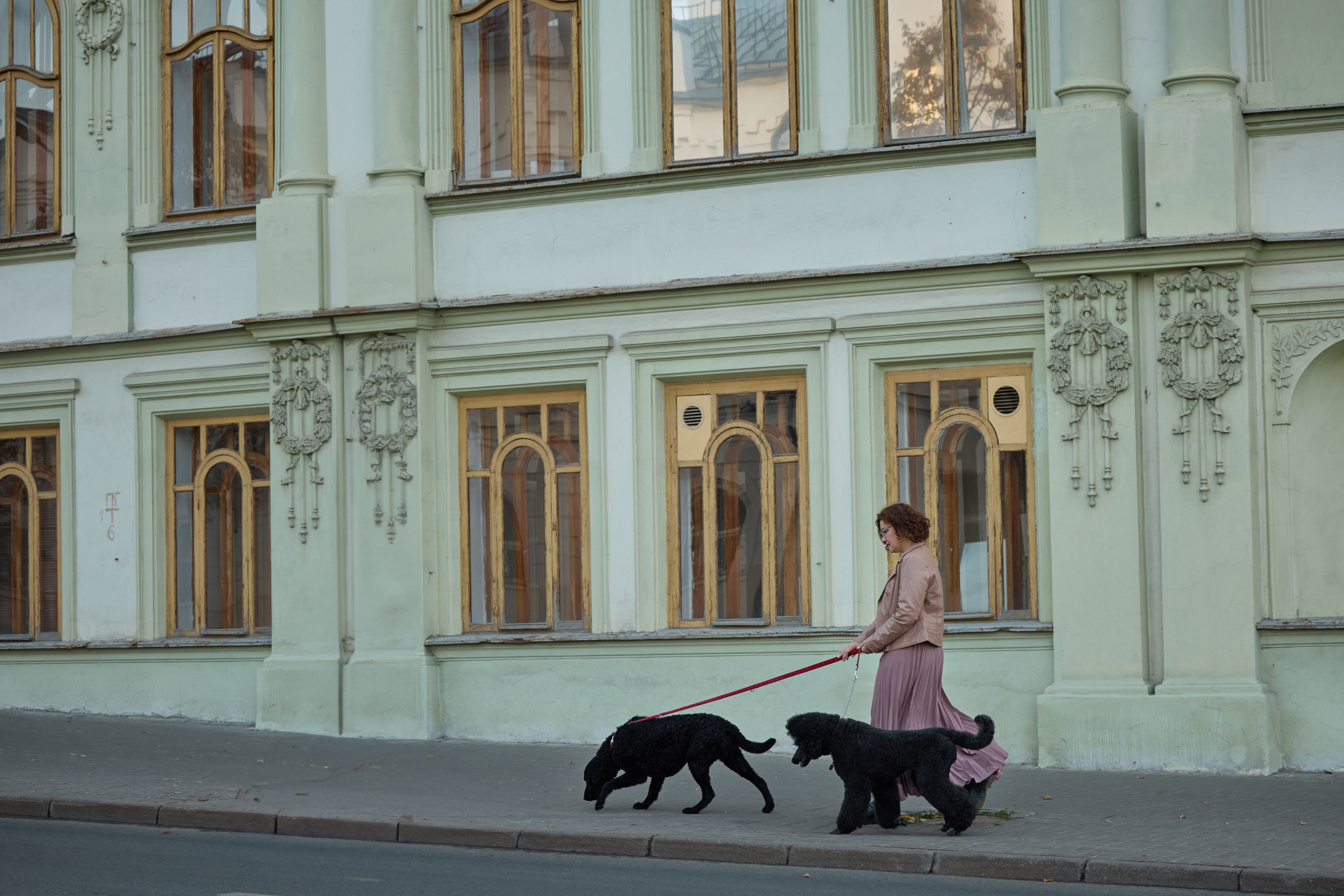 Альбина. Марфа и Мистик. Прогулка в парке. Фотограф анималист в Казани Алина Сулейманова. Фотограф животных