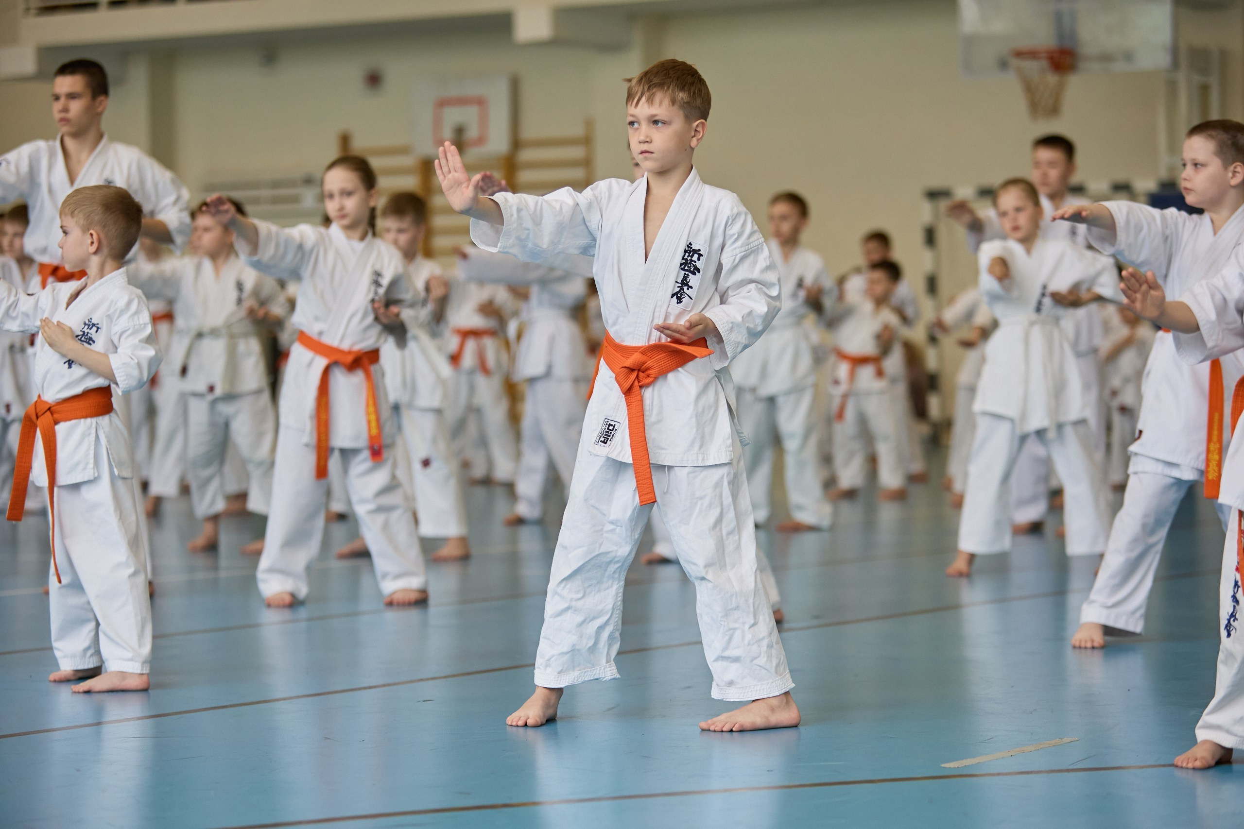 КАРАТЕ. Фото. Спортивный фотограф, трансляция, звук и свет в Новосибирске