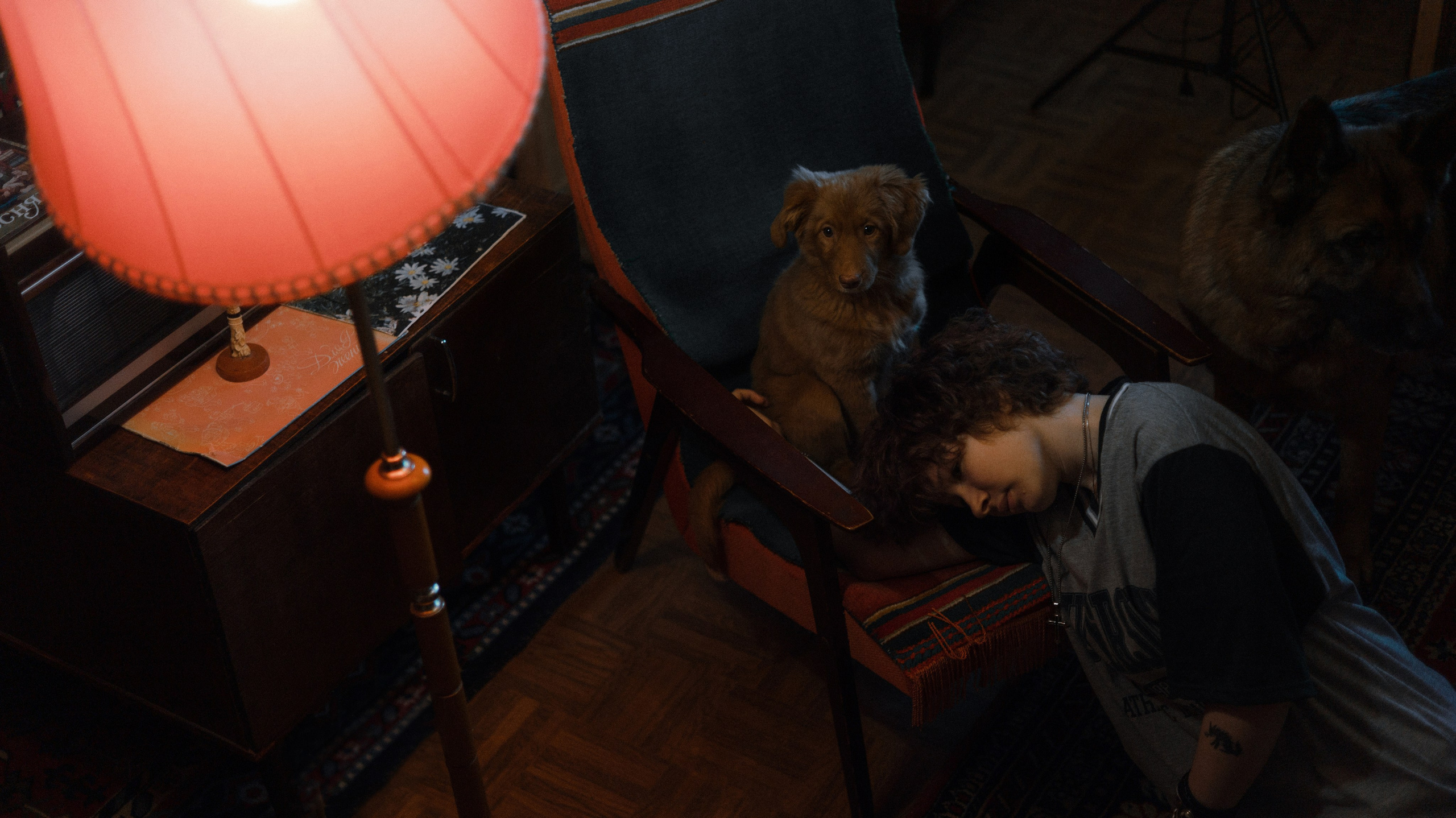 Лера, Реджи и Ральф. Фотограф-анималист Богданова Полина