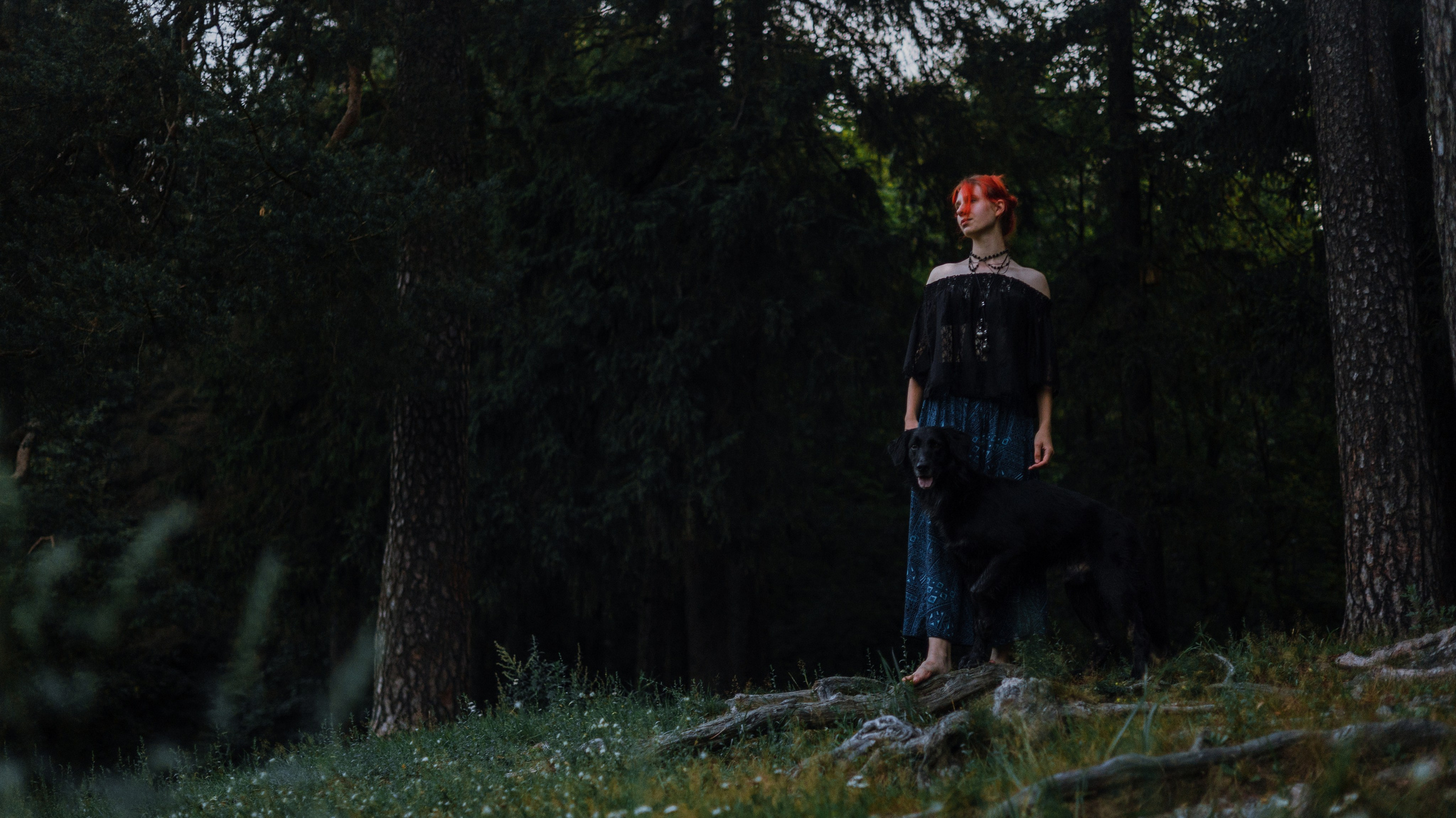 Лиза и Коди. Фотограф-анималист Богданова Полина