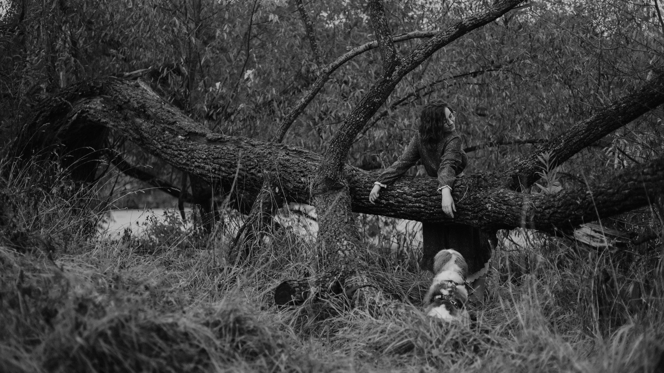 Маша и Дарси. Фотограф-анималист Богданова Полина