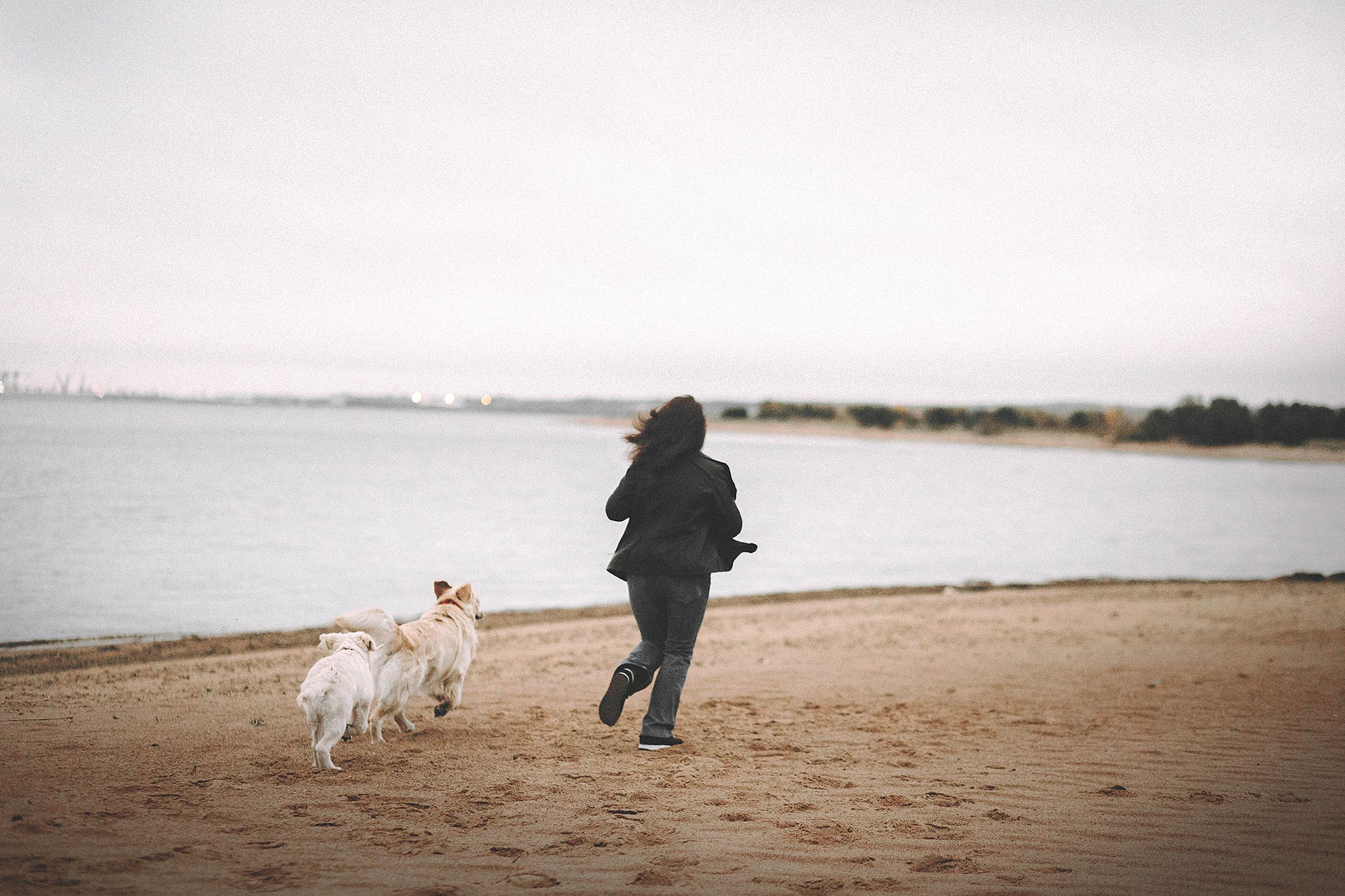 Барли, Фортис. Фотограф-анималист • love-story • Санкт-Петербург