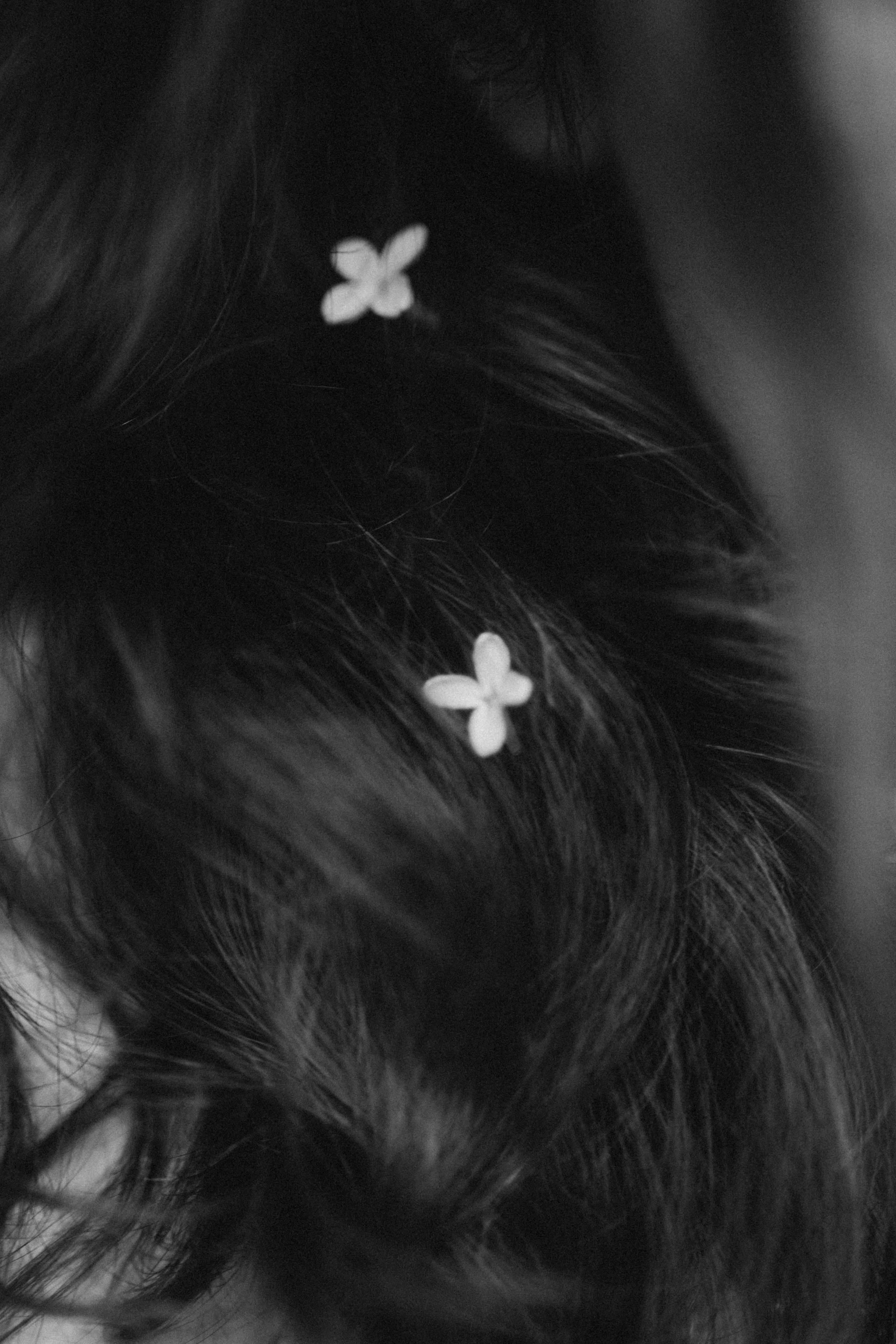 Фотограф Лиана Сафарова. Свадебные, портретные, парные съёмки