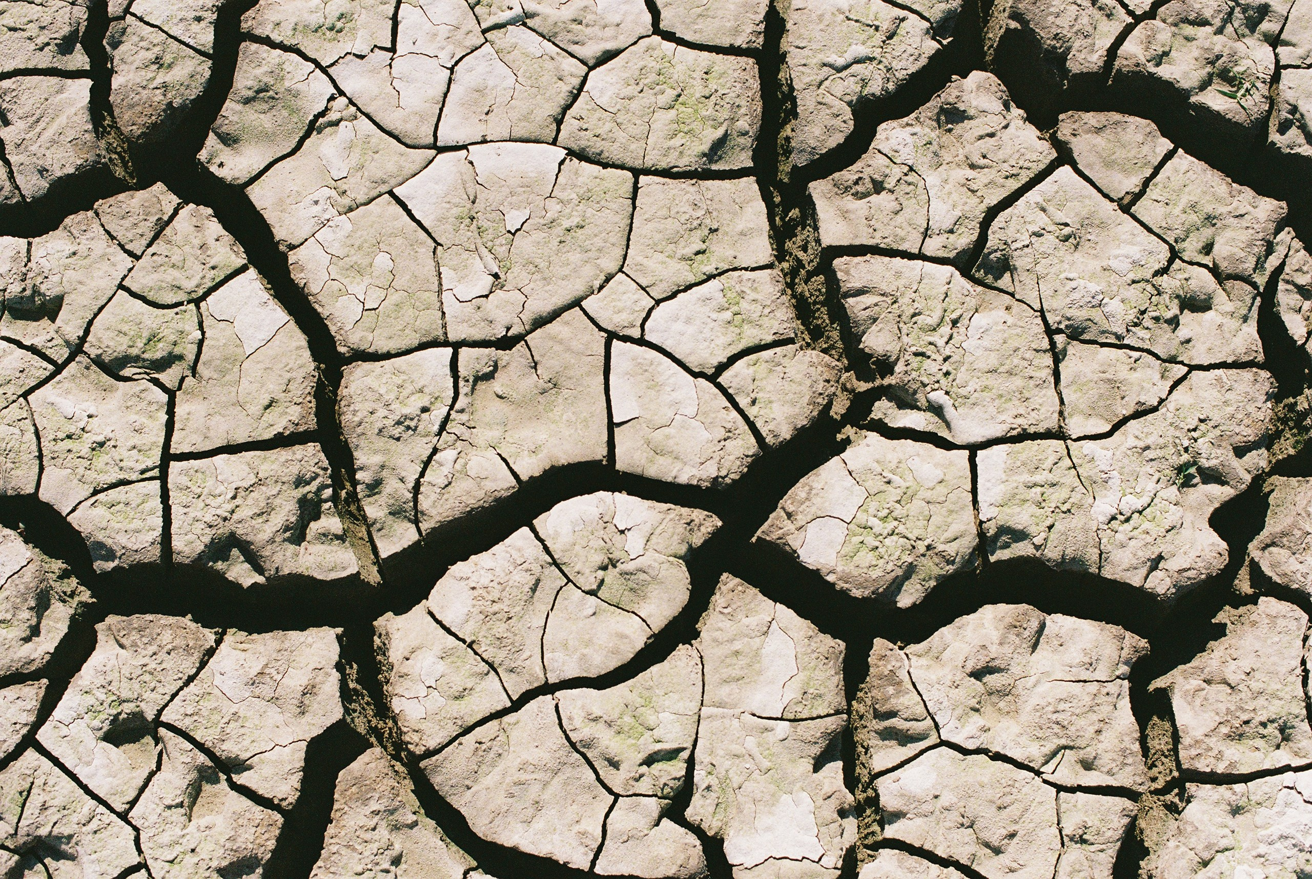 Аружан, Kodak Portra. Фотограф в Алматы — Алексей Коньков | Репортаж, свадьбы, портреты