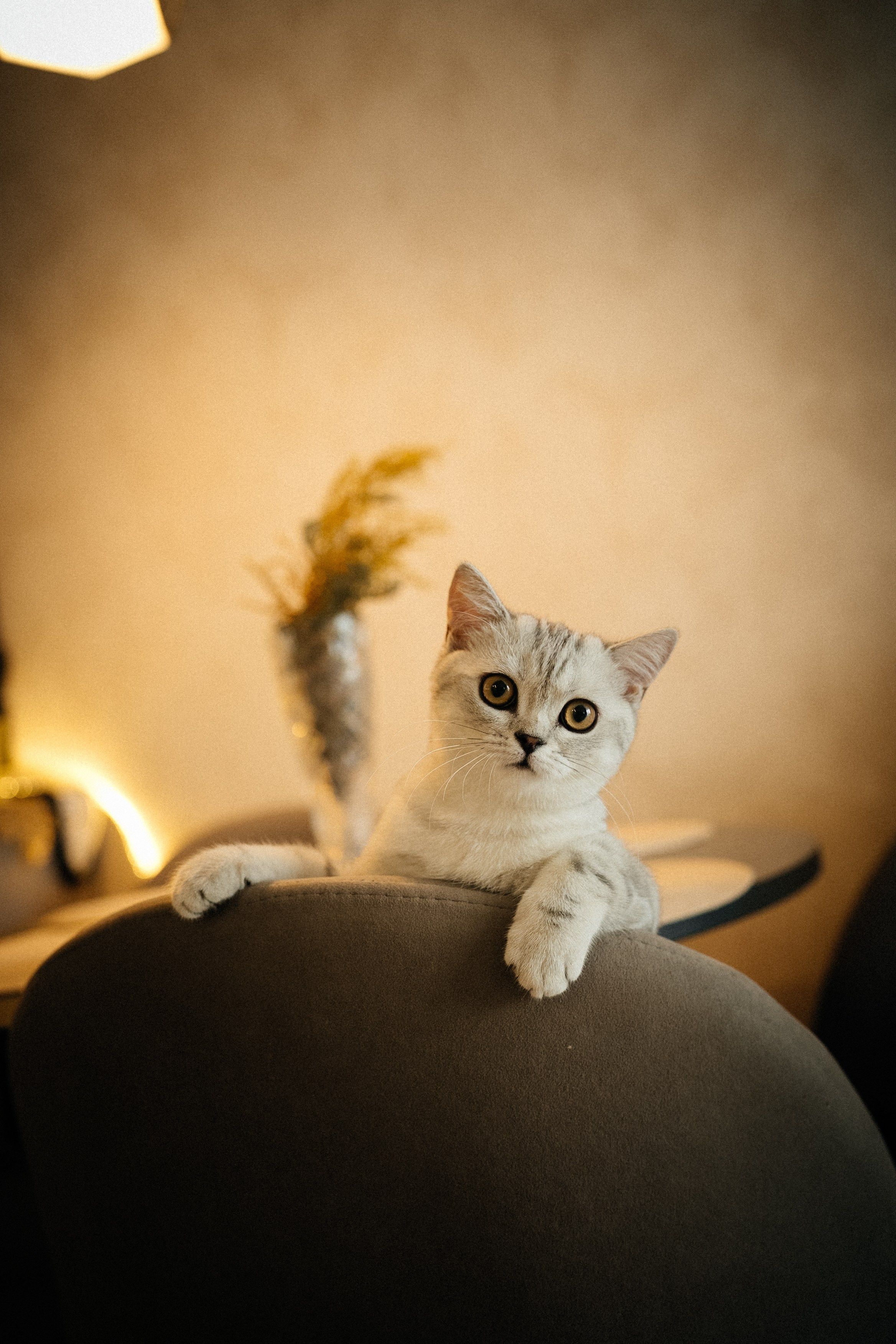 Семья Ксении и Максима. Фотограф | Юлия Арт| Обучение